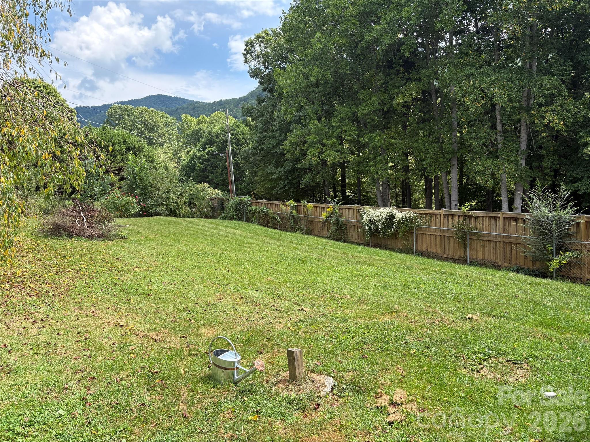 408 McCoy Cove Road — Black Mountain