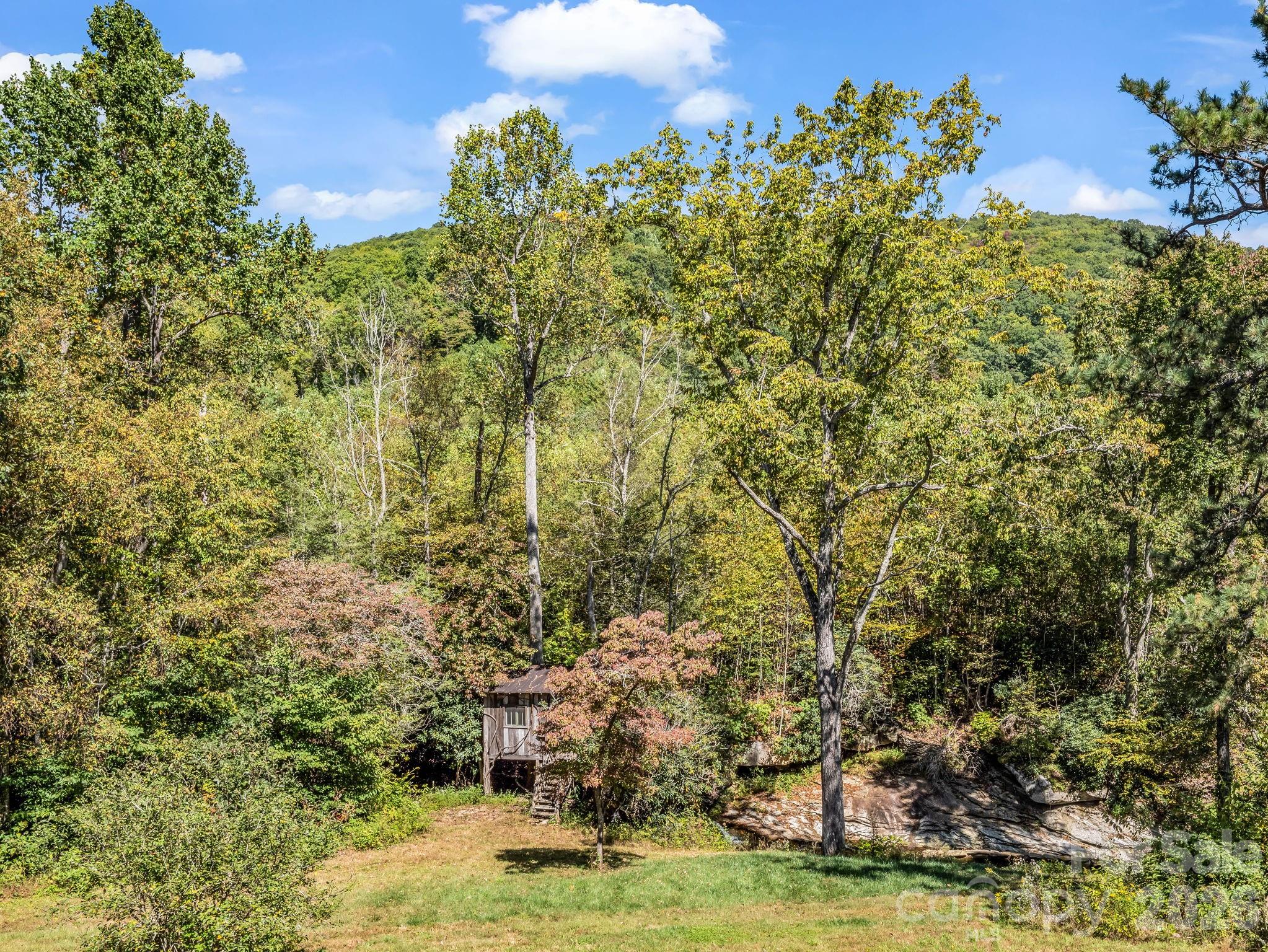 119 Mountain Bluff Trail — Hendersonville