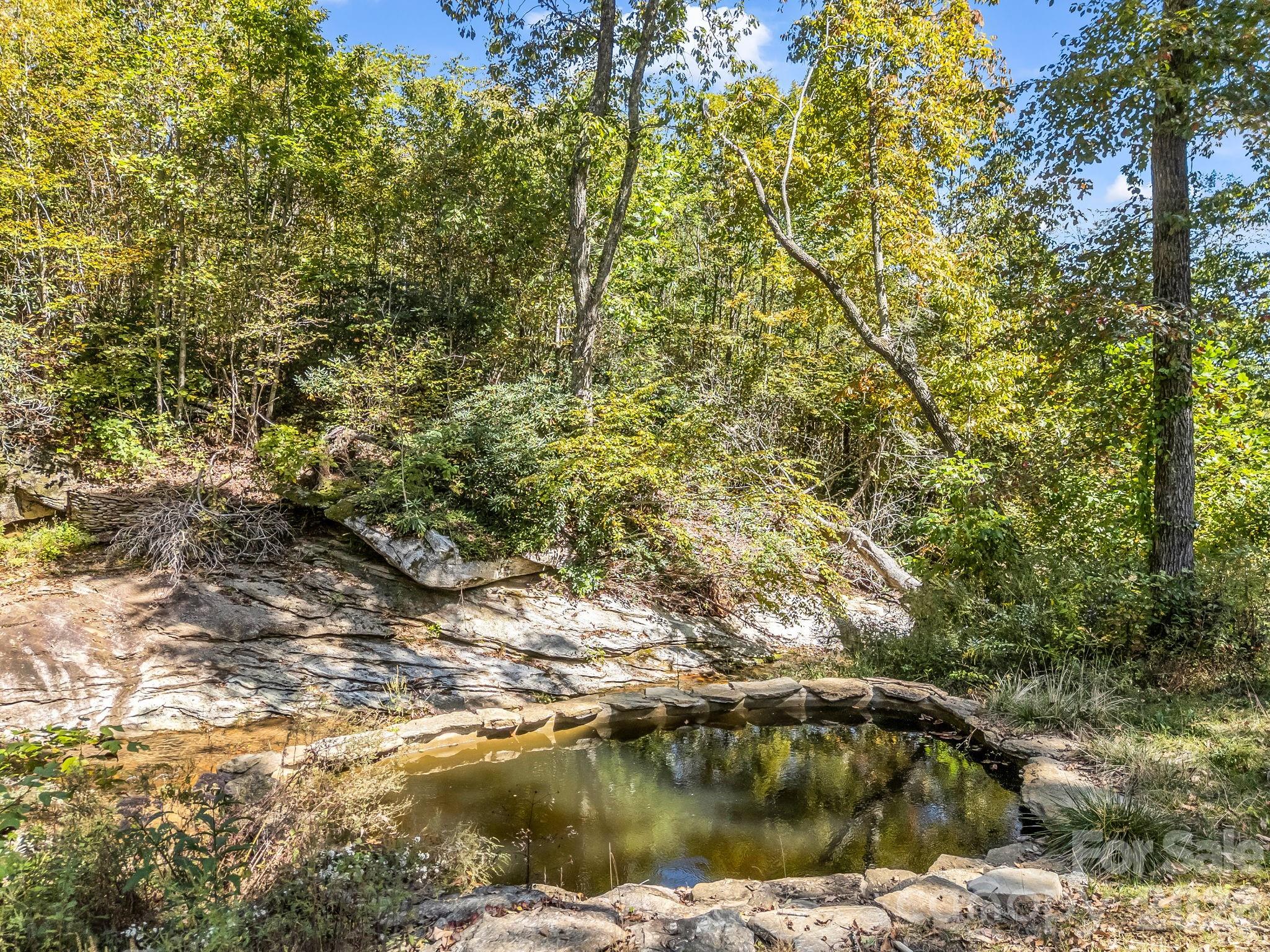 119 Mountain Bluff Trail — Hendersonville