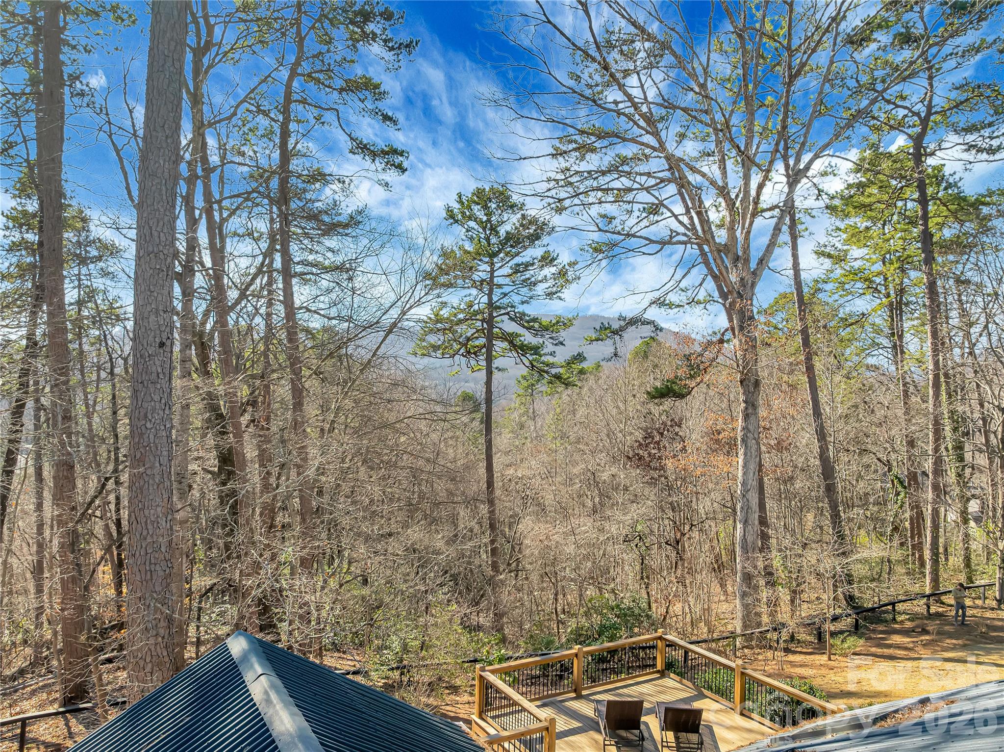 566 Canebrake Road — Tryon