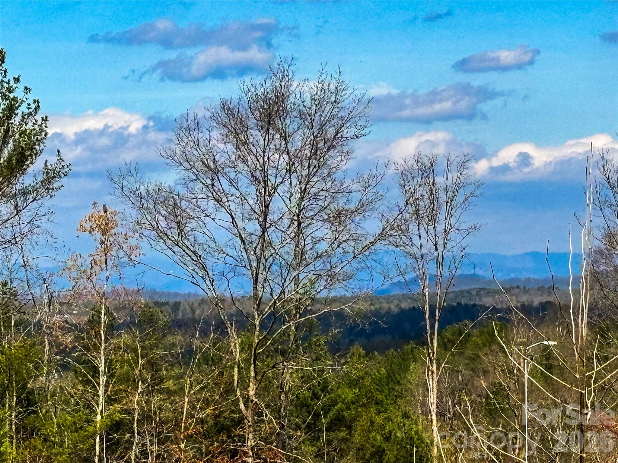 4277 Chinquapin Circle — Lenoir