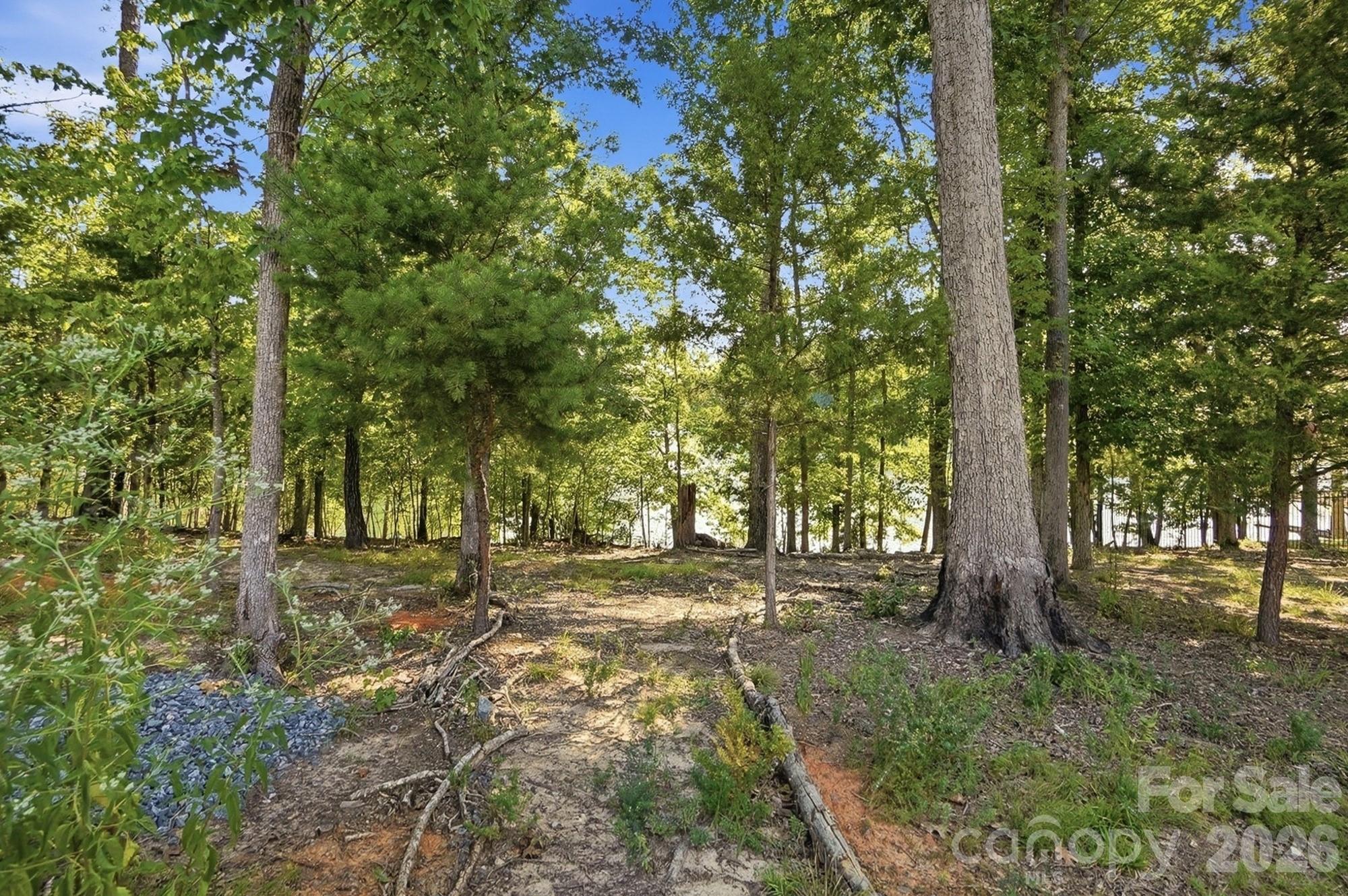 17446 Chaco Lane — Charlotte