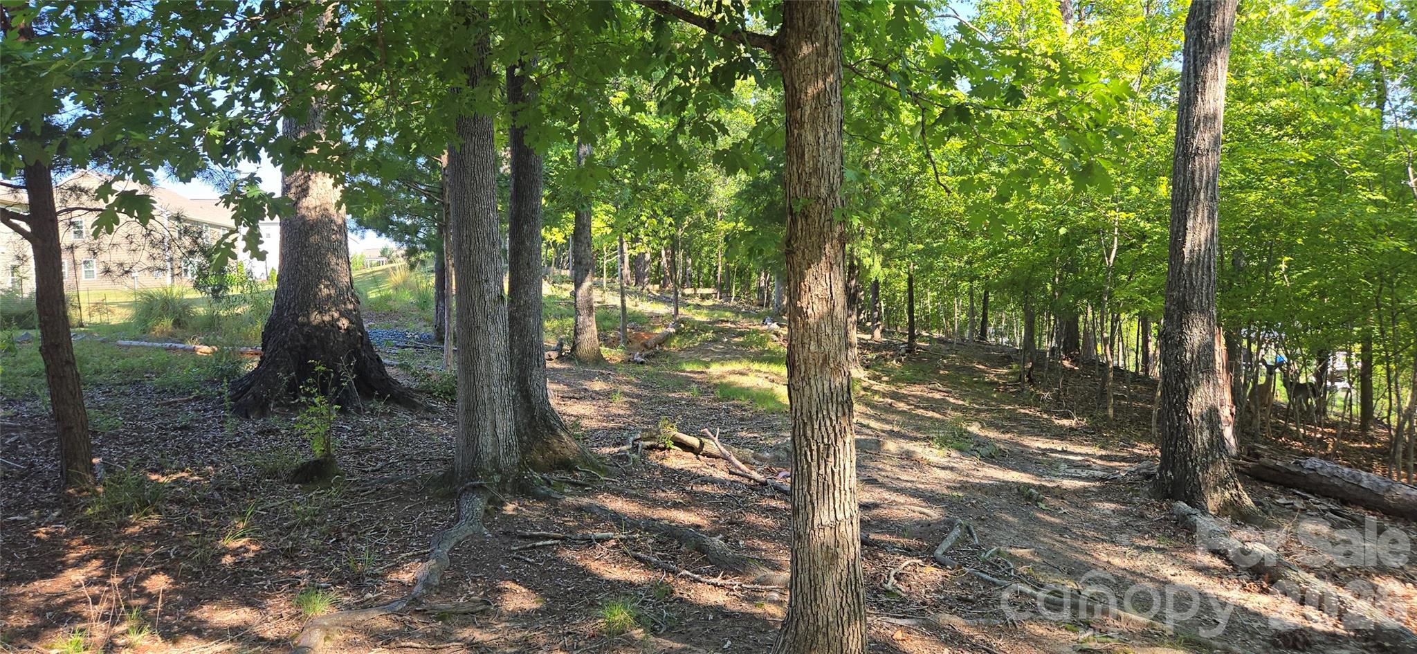 17446 Chaco Lane — Charlotte