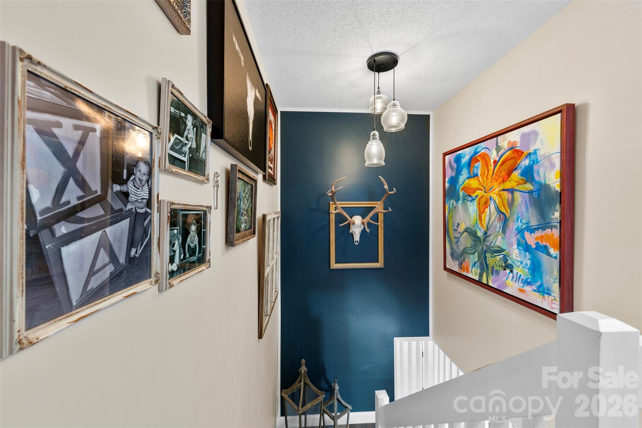 11532 Delores Ferguson Lane — Charlotte
