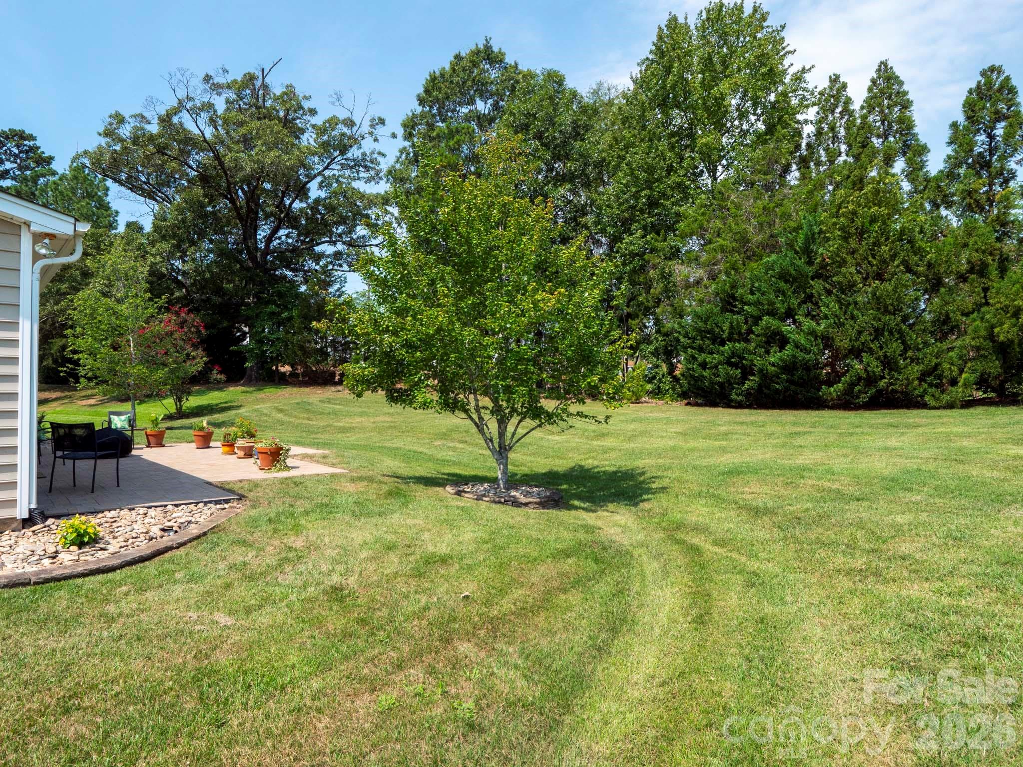 6005 Lillyshire Place #167 — Charlotte