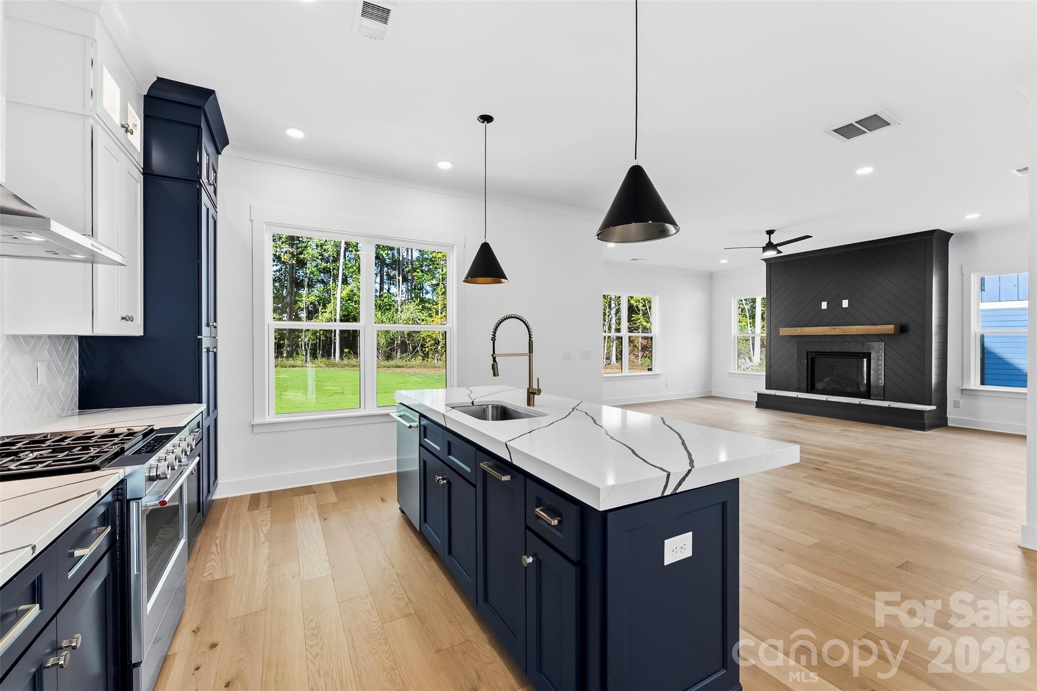 209 Parkdale Drive — Belmont