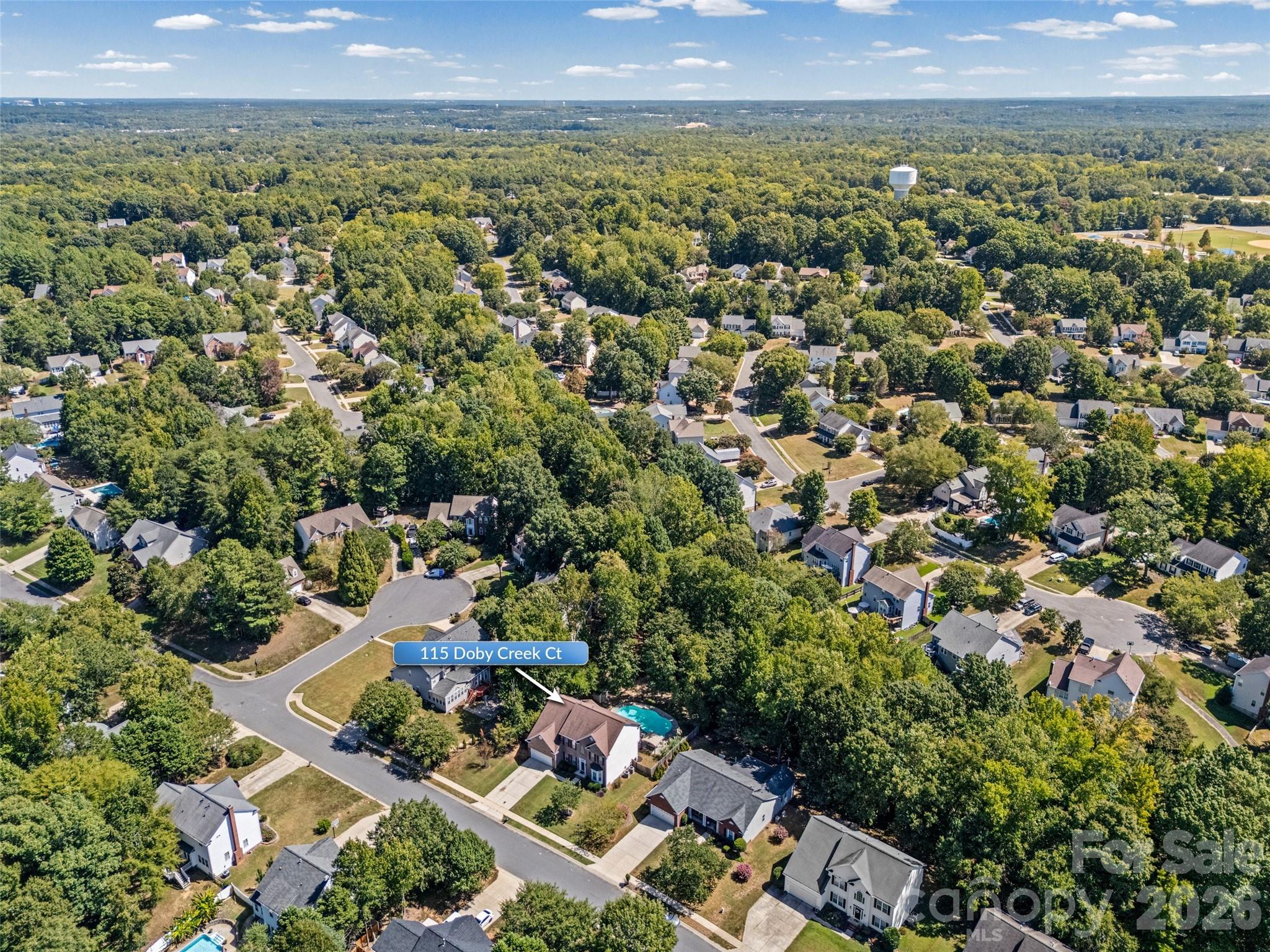 115 Doby Creek Court — Fort Mill