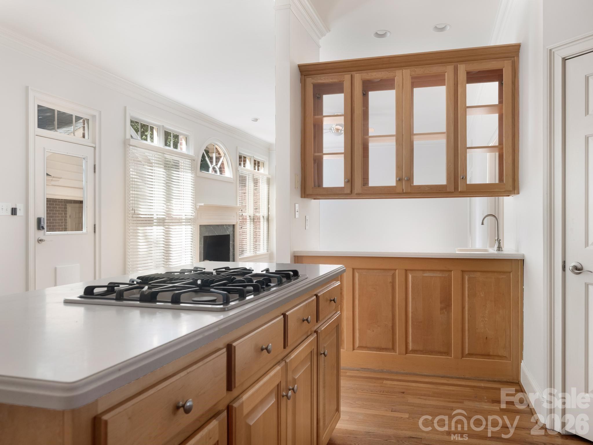1105 Randolph Oaks Court — Charlotte