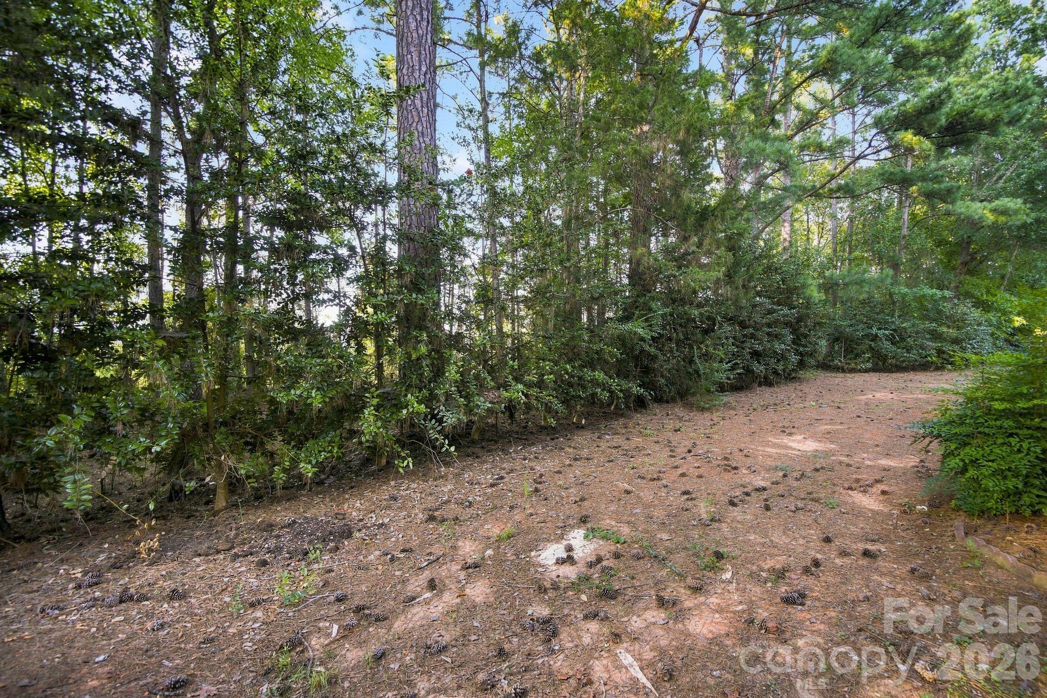 16316 Redstone Mountain Lane — Charlotte