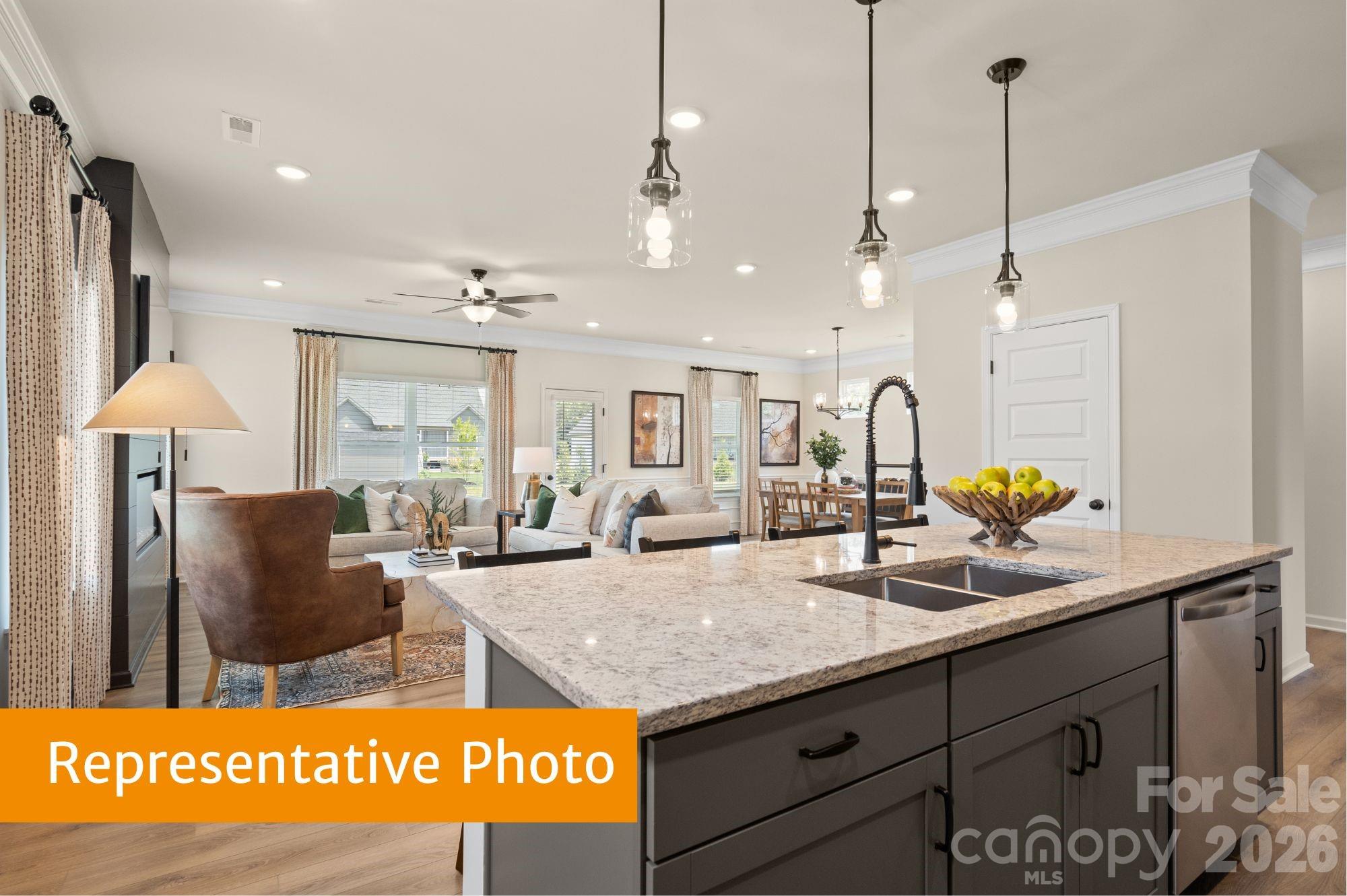 4232 Ruth Creek Court — Charlotte