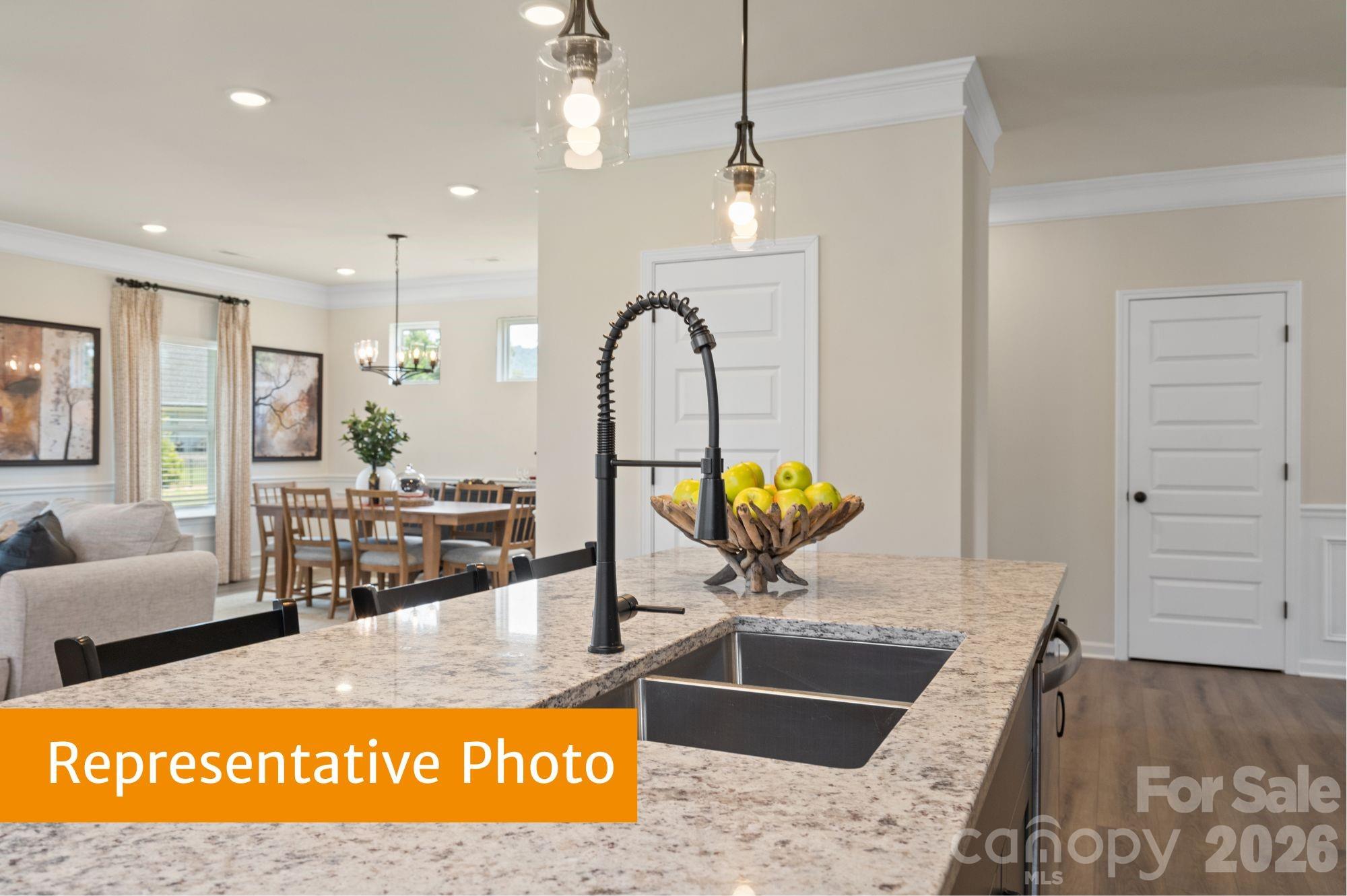 4232 Ruth Creek Court — Charlotte