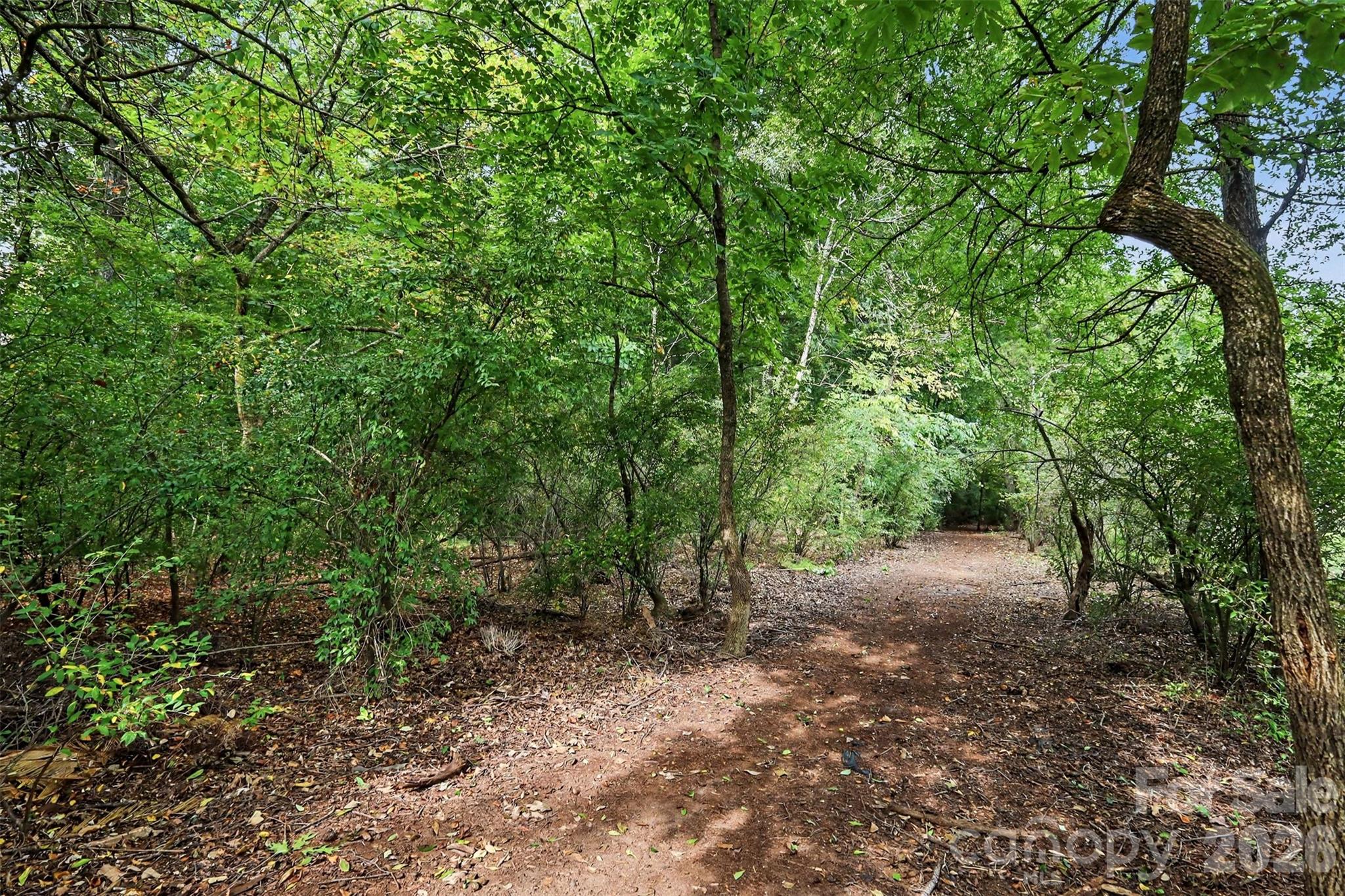 12826 Rusty Blackbird Way — Charlotte