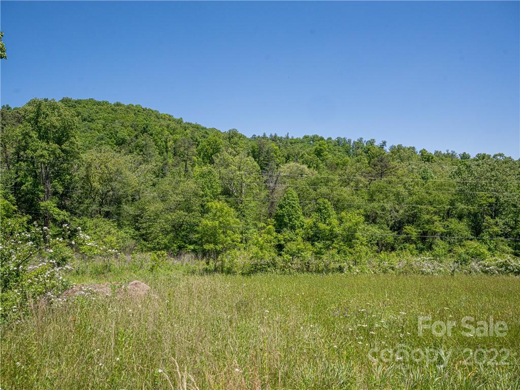 99999 Merrills Cove Road #1 & 3 — Asheville
