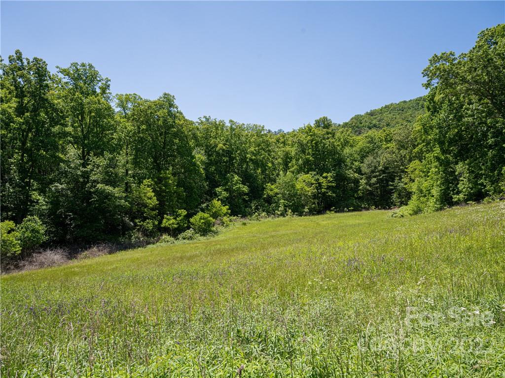 99999 Merrills Cove Road #1 & 3 — Asheville