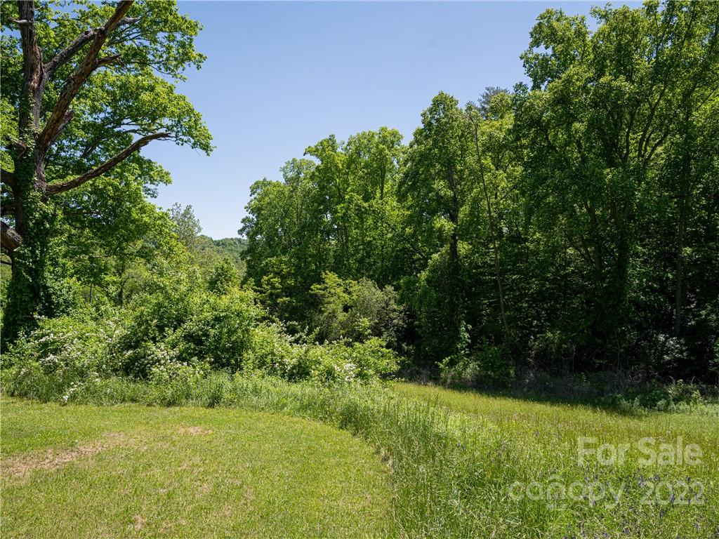 99999 Merrills Cove Road #1 & 3 — Asheville