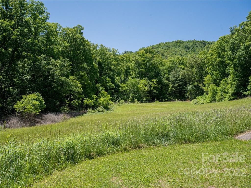 99999 Merrills Cove Road #1 & 3 — Asheville