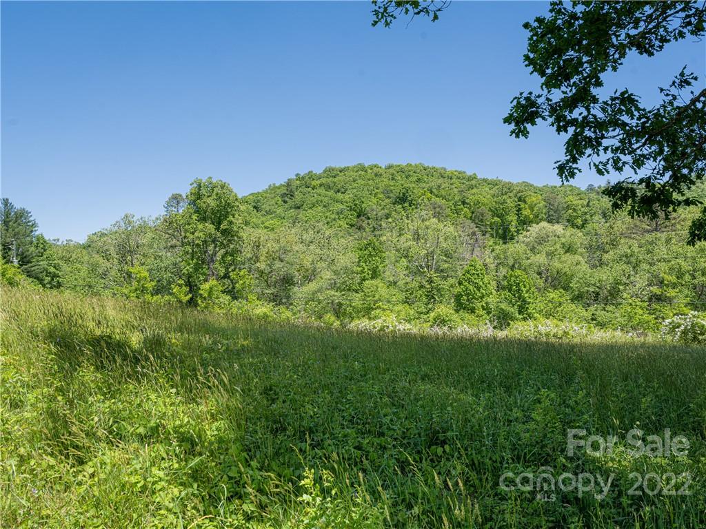 99999 Merrills Cove Road #1 & 3 — Asheville