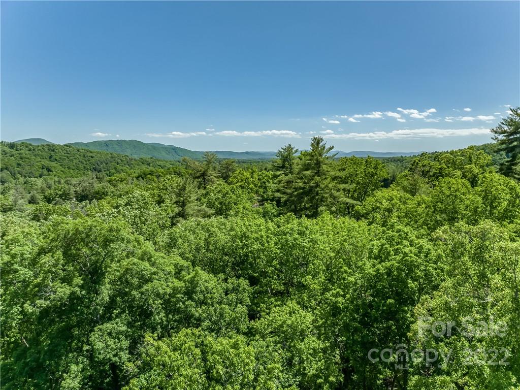 99999 Merrills Cove Road #1 & 3 — Asheville
