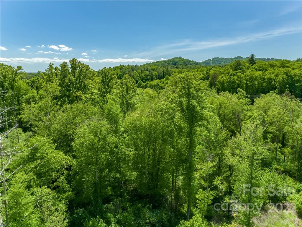 99999 Merrills Cove Road #1 & 3 — Asheville
