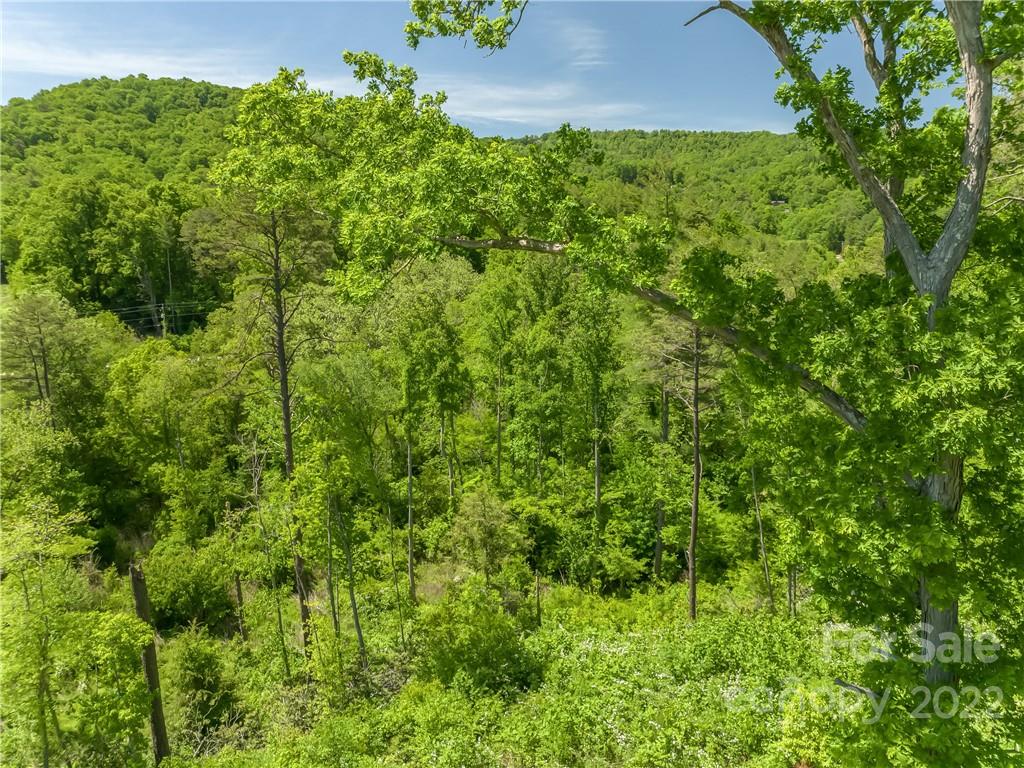 99999 Merrills Cove Road #1 & 3 — Asheville