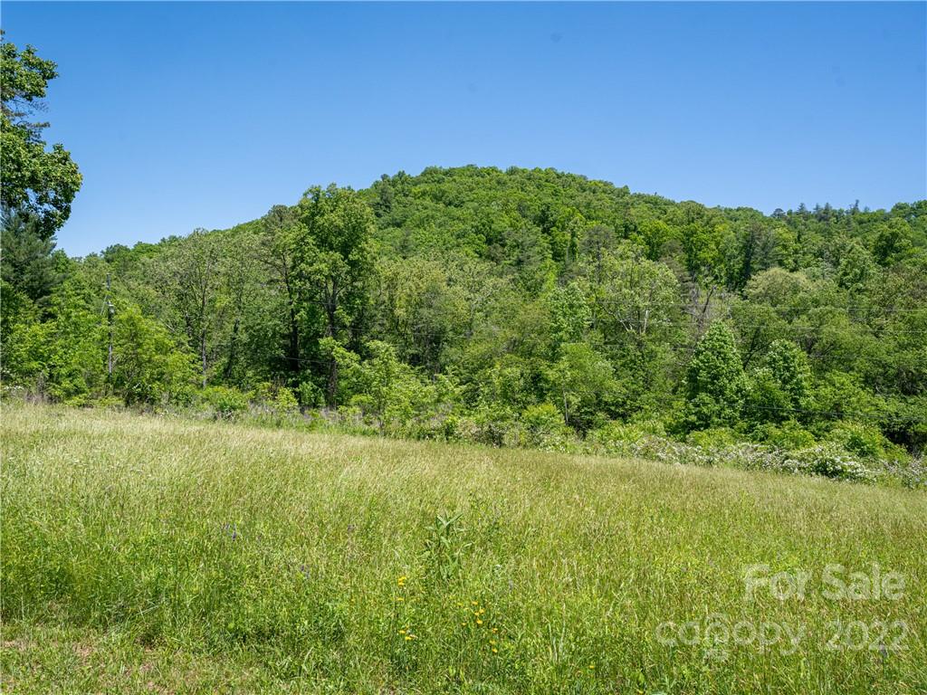 99999 Merrills Cove Road #1 & 3 — Asheville