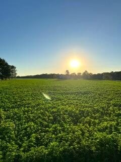 56803 Tulip Road, New Carlisle, IN 46552; Image #19