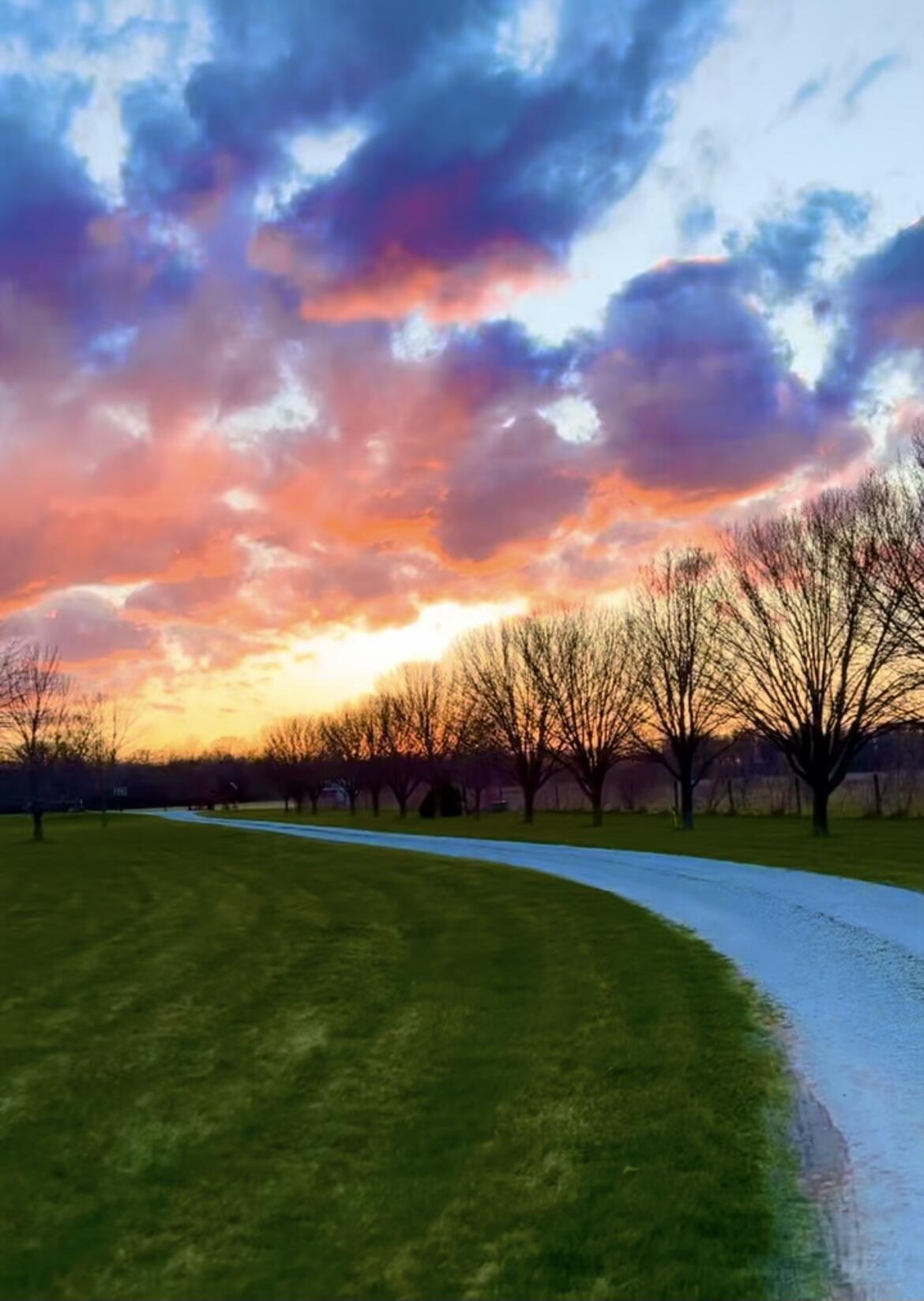 56803 Tulip Road, New Carlisle, IN 46552; Image #24