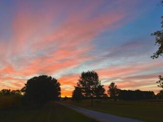 56803 Tulip Road, New Carlisle, IN 46552; Image #25