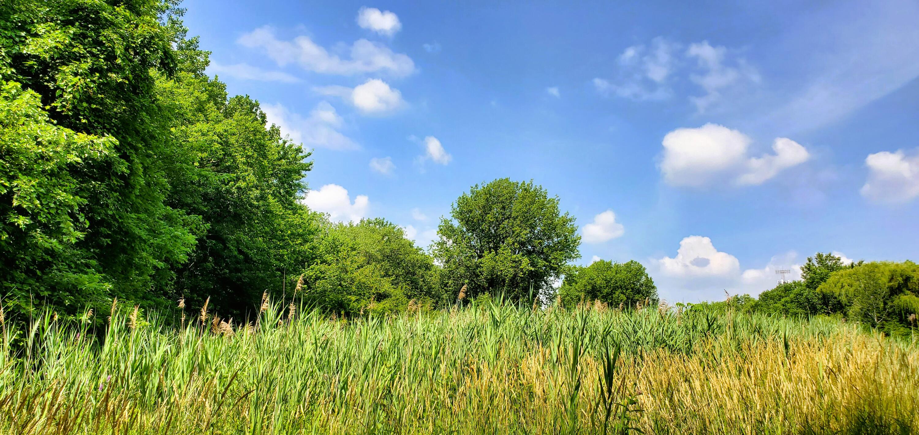 10010 Kennedy Avenue, Highland, IN 46322; Image #3