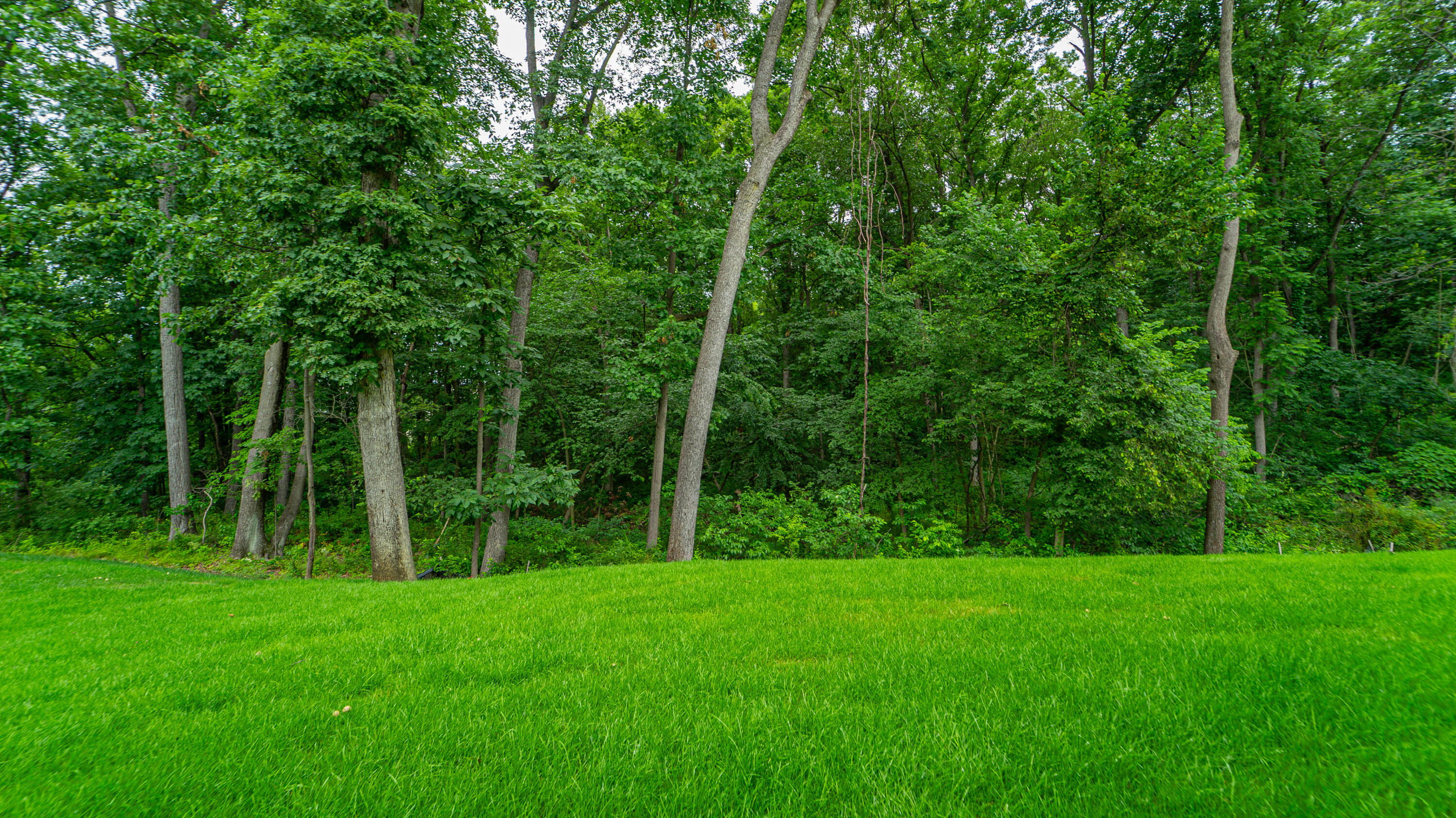 161 N Winterberry Drive, Valparaiso, IN 46385; Image #67