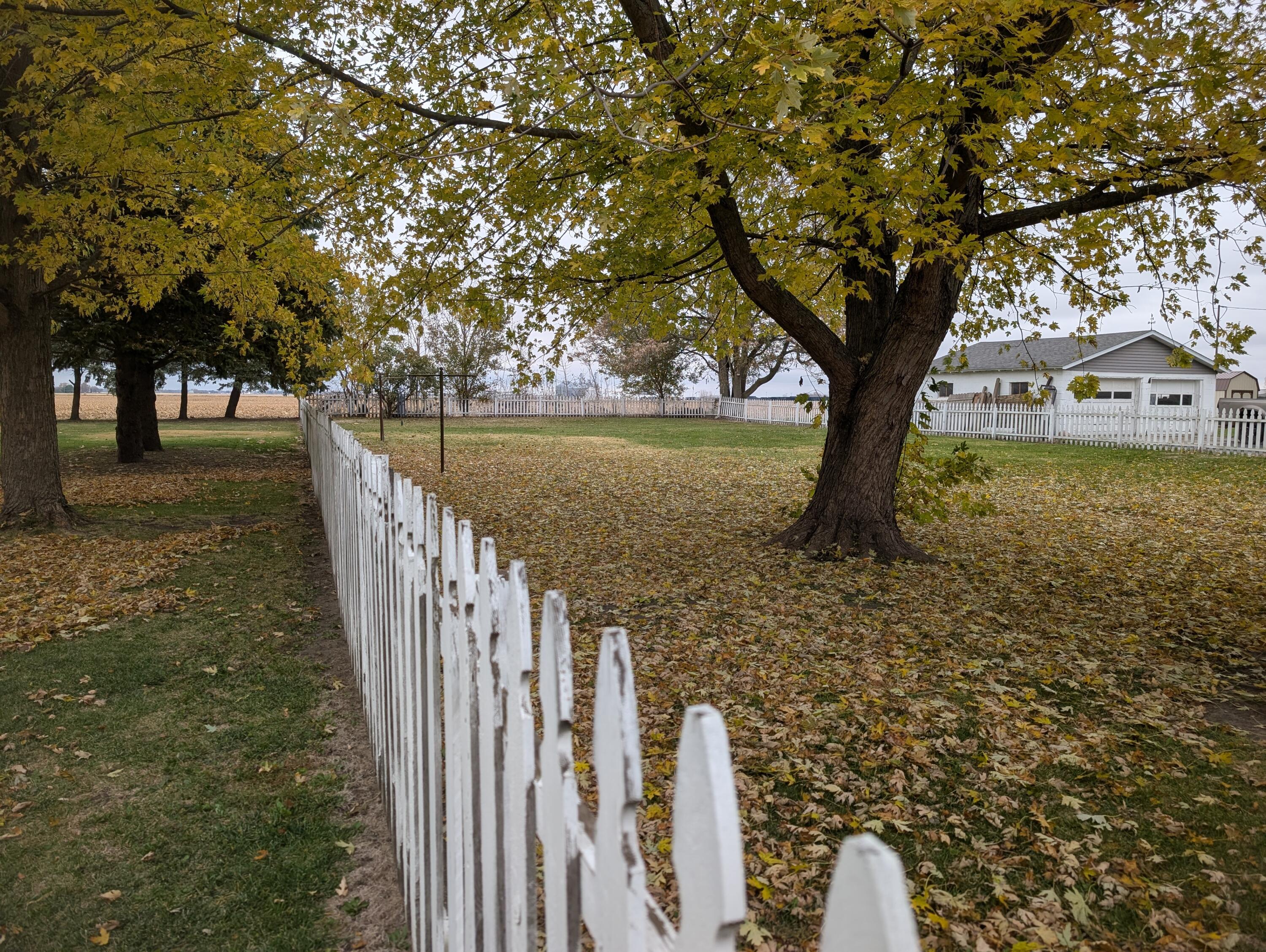 601 W Gordon Street, Francesville, IN 47946; Image #2