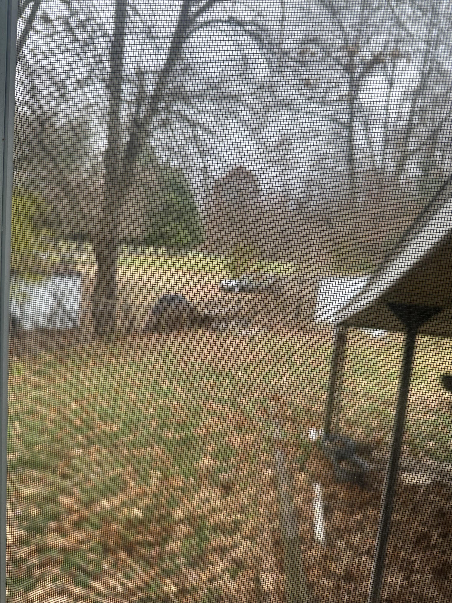 5489 Clem Road, Portage, IN 46368; Image #19