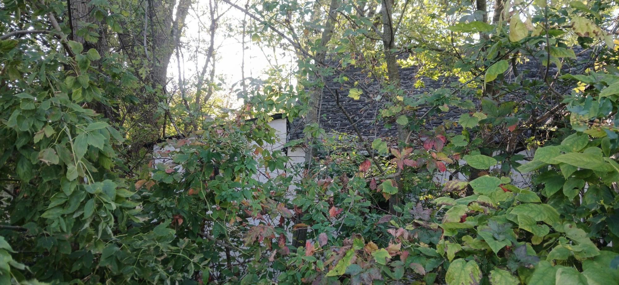 2345 E 21st Avenue, Gary, IN 46407; Image #2