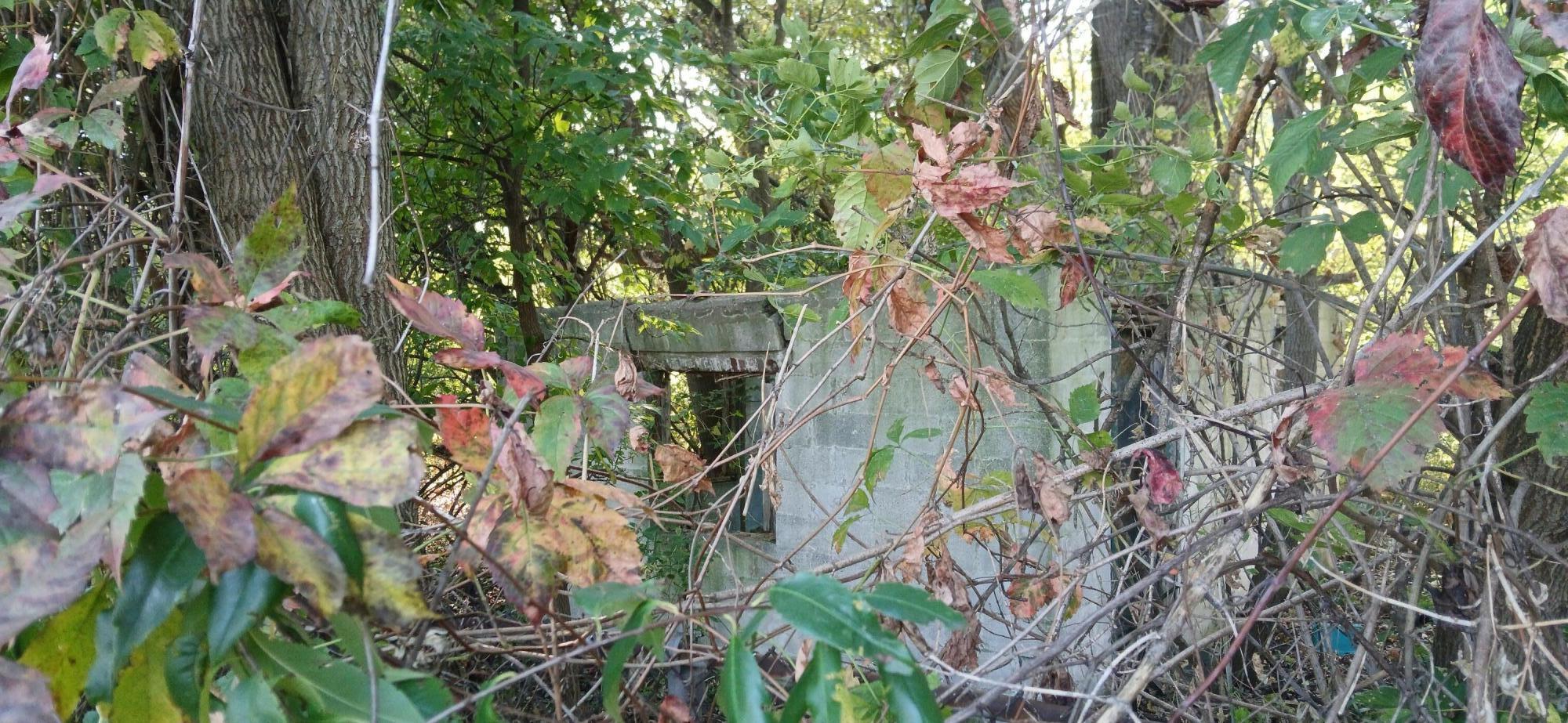 2345 E 21st Avenue, Gary, IN 46407; Image #5