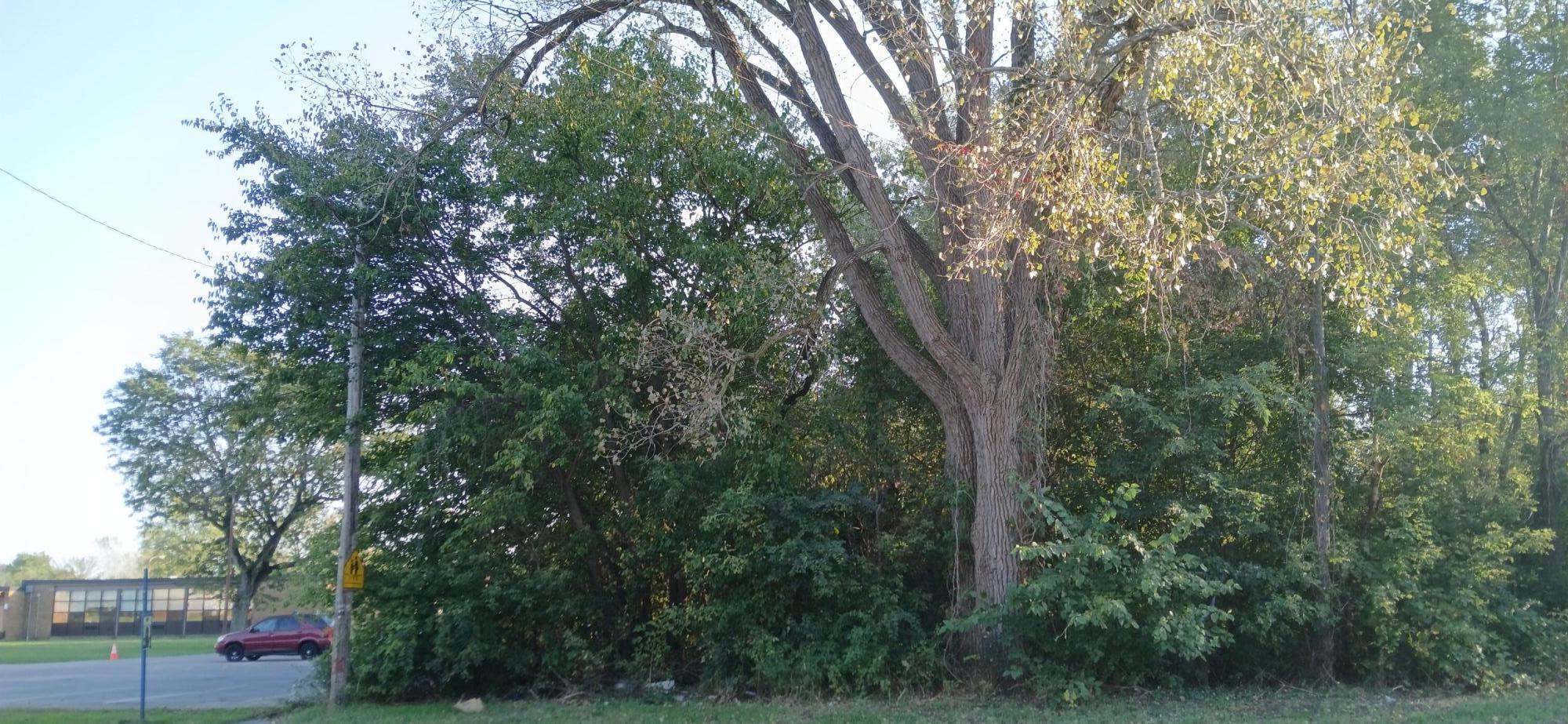 2345 E 21st Avenue, Gary, IN 46407; Image #8