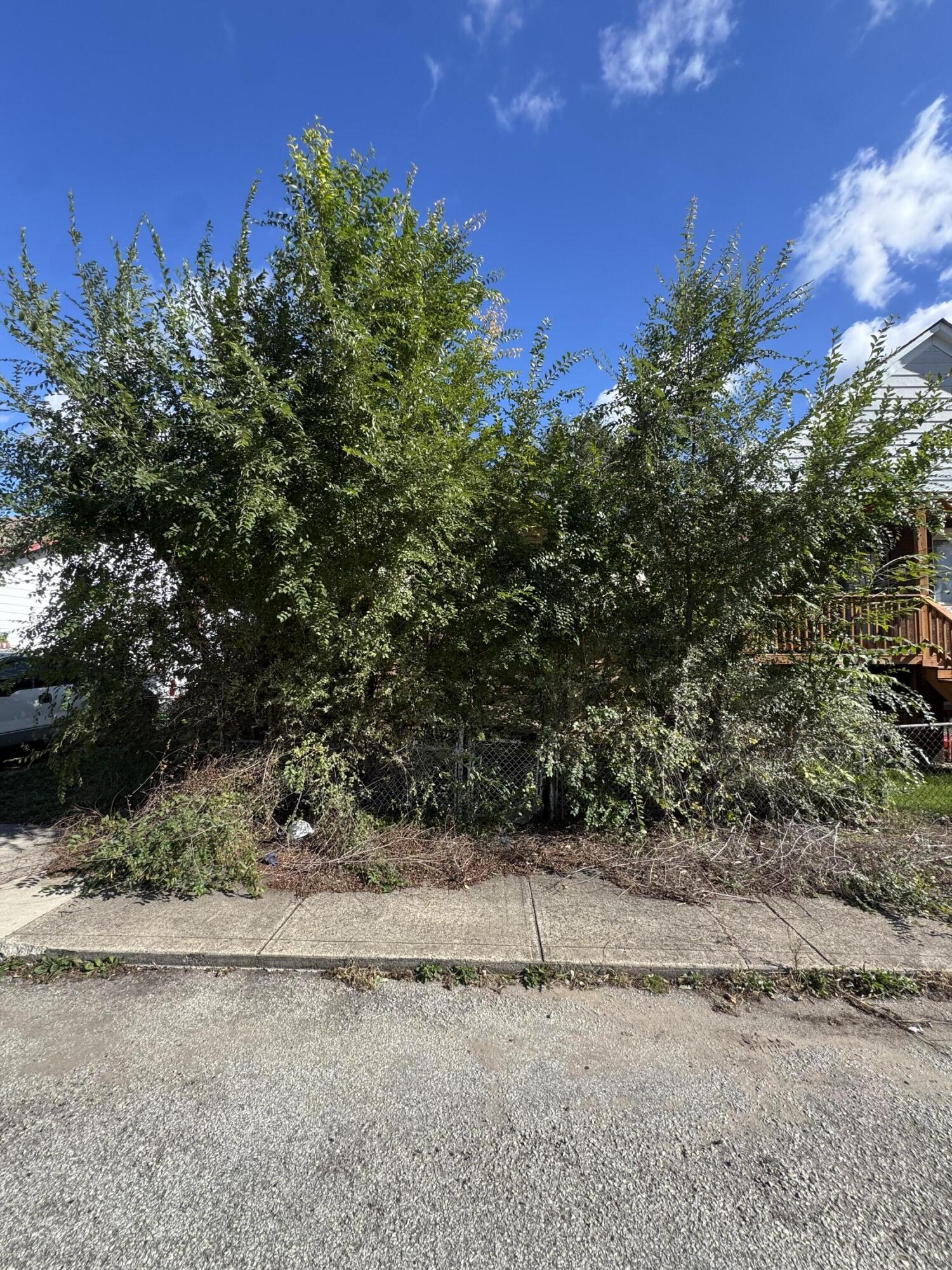 2441 Jefferson Street, Gary, IN 46407; Image #2