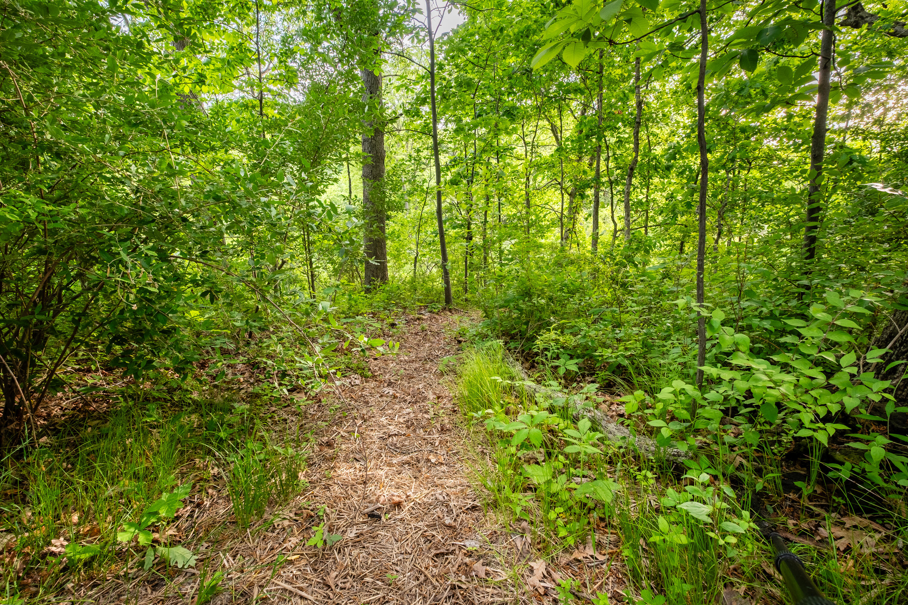 220 Robbins Road, Valparaiso, IN 46385; Image #13
