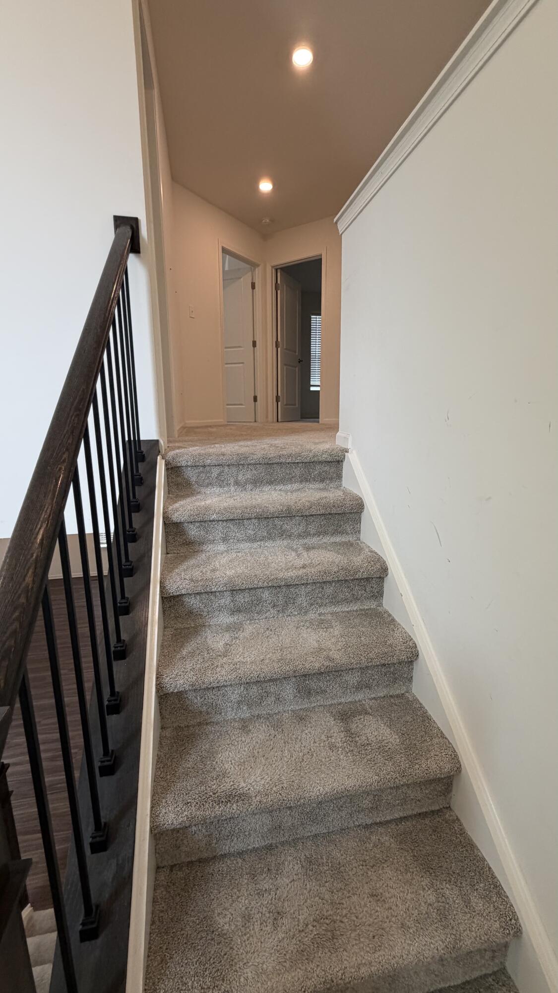 1780 E 110th Place, Crown Point, IN 46307; Image #10