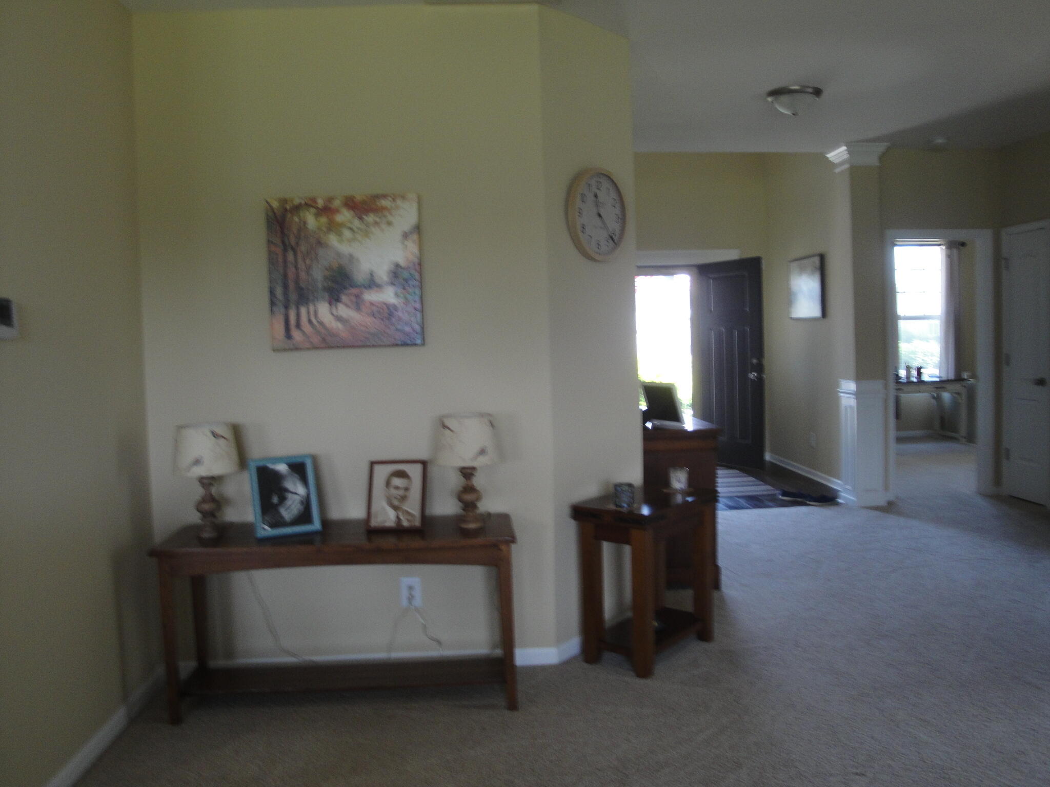 9101 Green Meadow Drive, Cedar Lake, IN 46303; Image #11