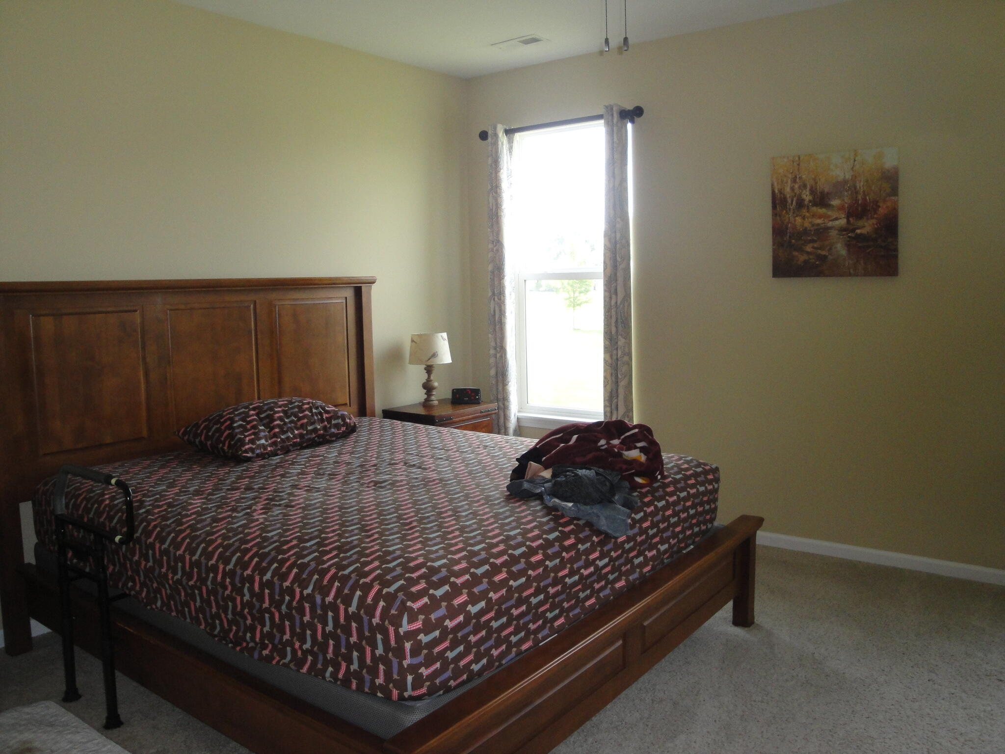 9101 Green Meadow Drive, Cedar Lake, IN 46303; Image #26
