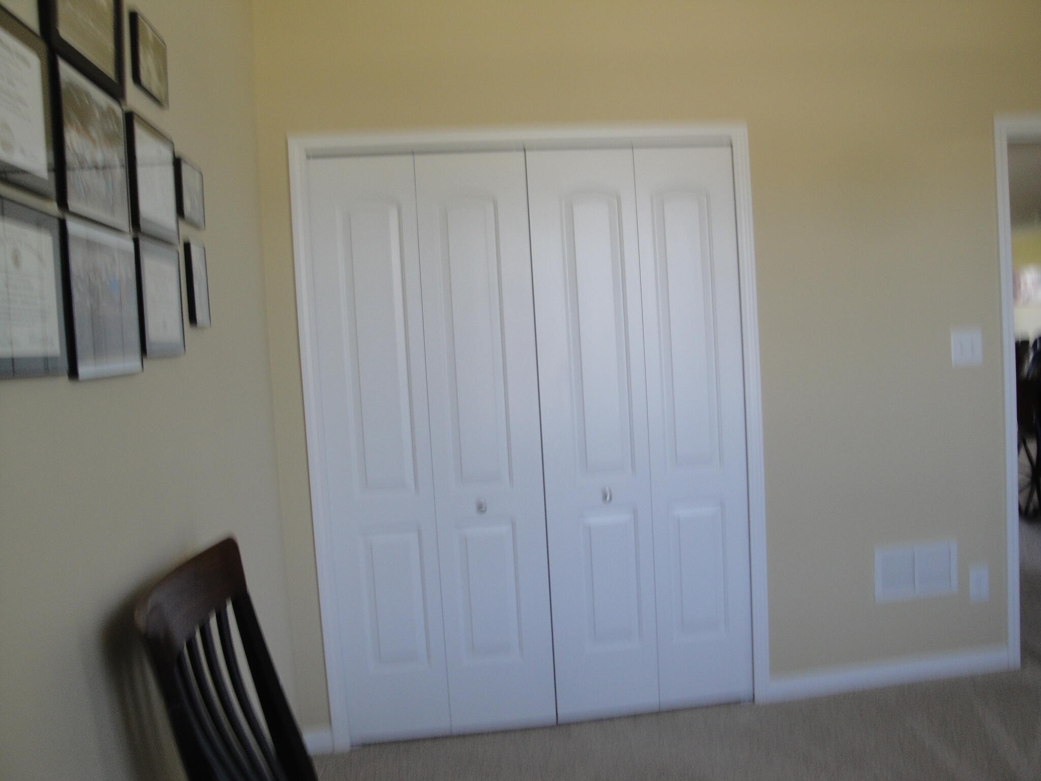 9101 Green Meadow Drive, Cedar Lake, IN 46303; Image #35