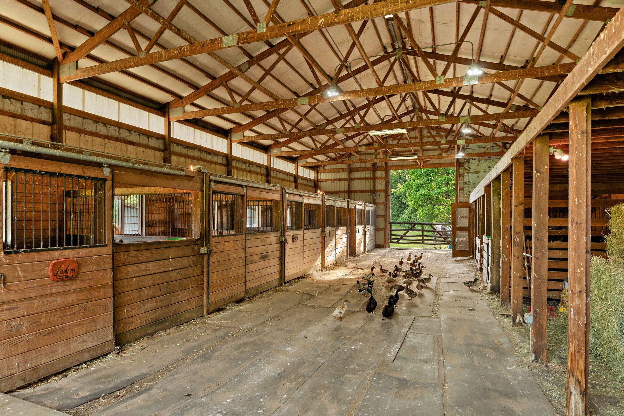 10792 N 600 E, DeMotte, IN 46310; Image #54
