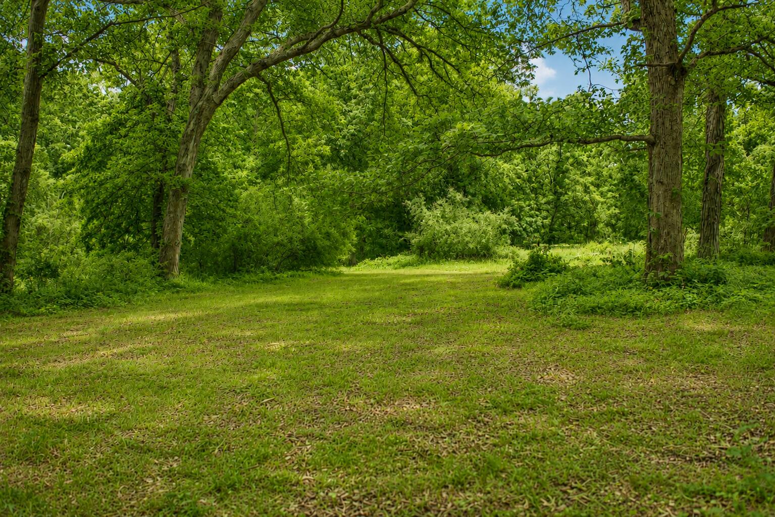 12816 Magoun Street, Cedar Lake, IN 46303; Image #22