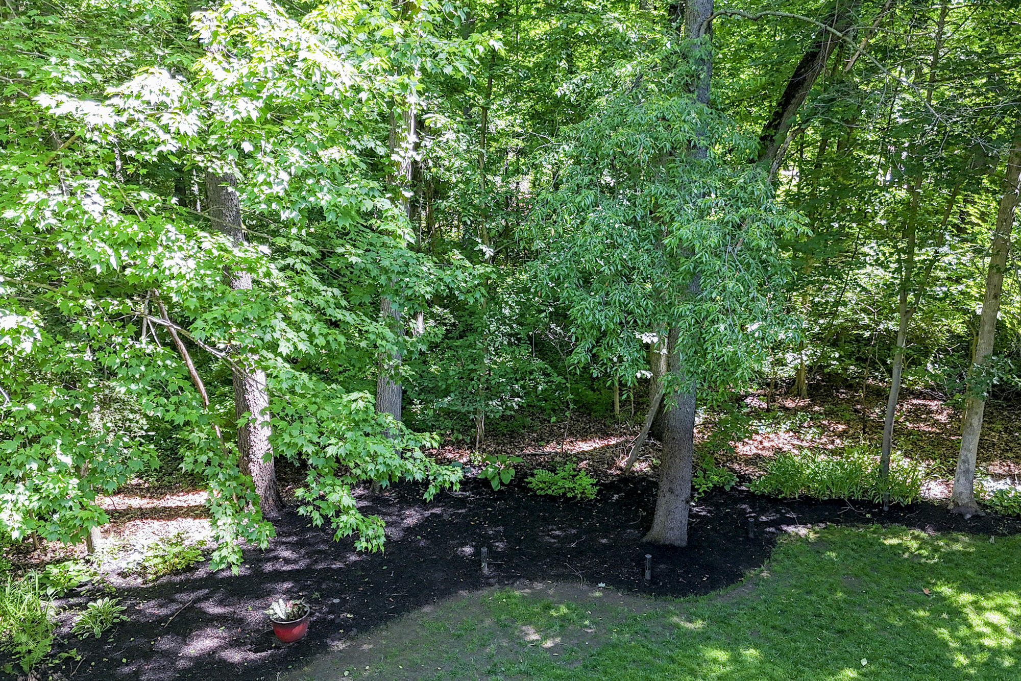 53254 Monticola Lane, Bristol, IN 46507; Image #119