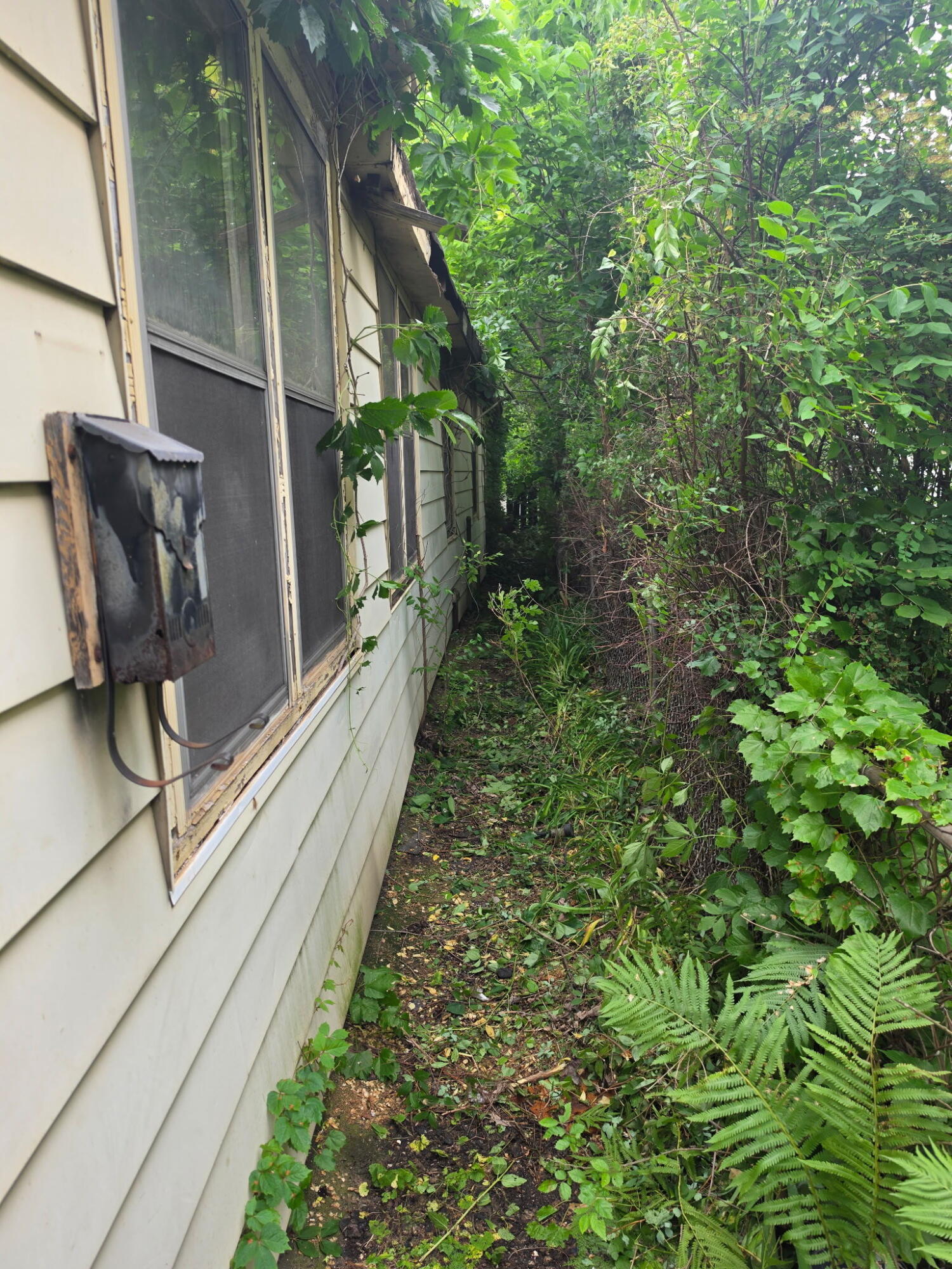 1733 Polk Street, Gary, IN 46407; Image #2