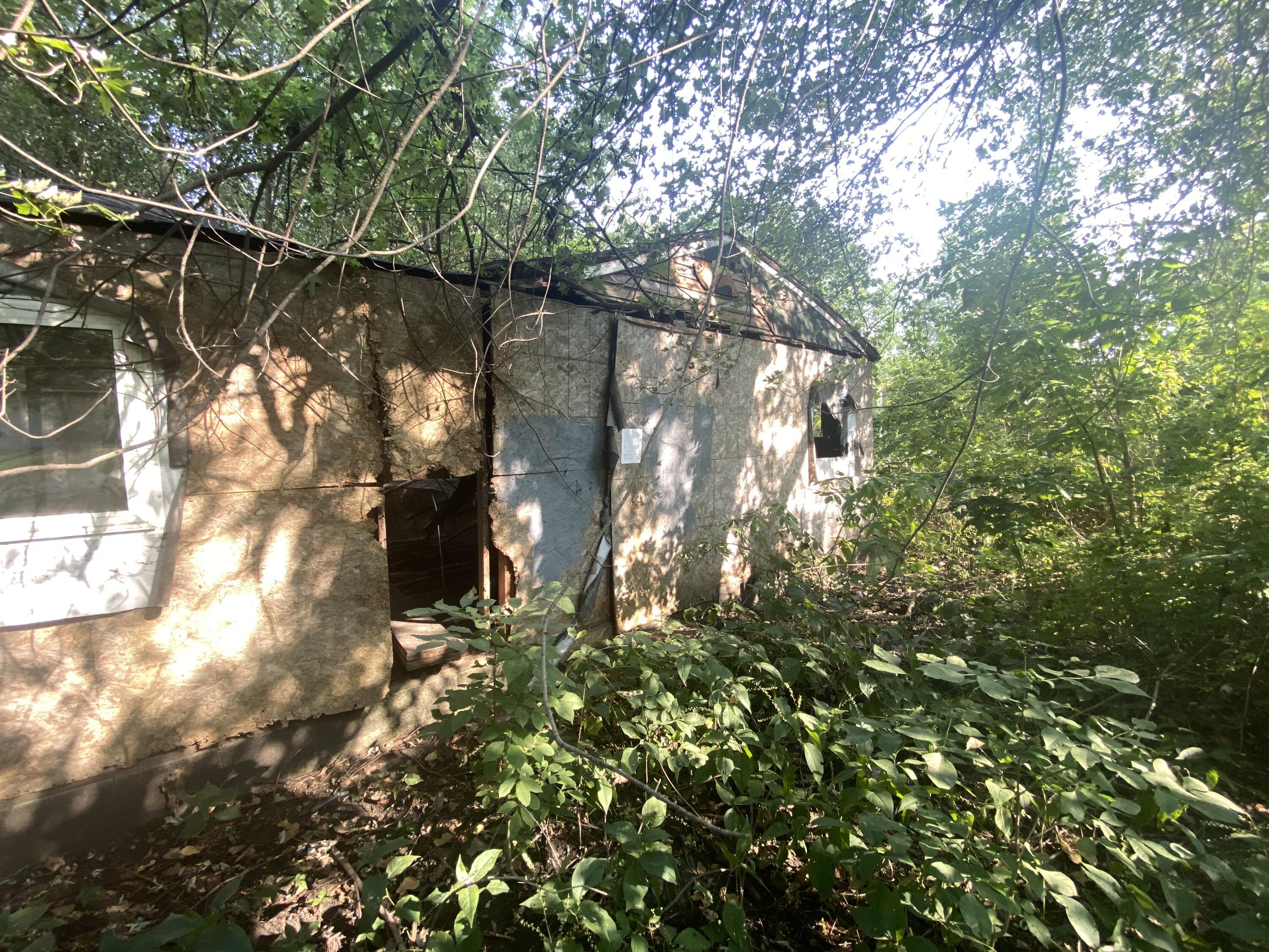Prev Image
