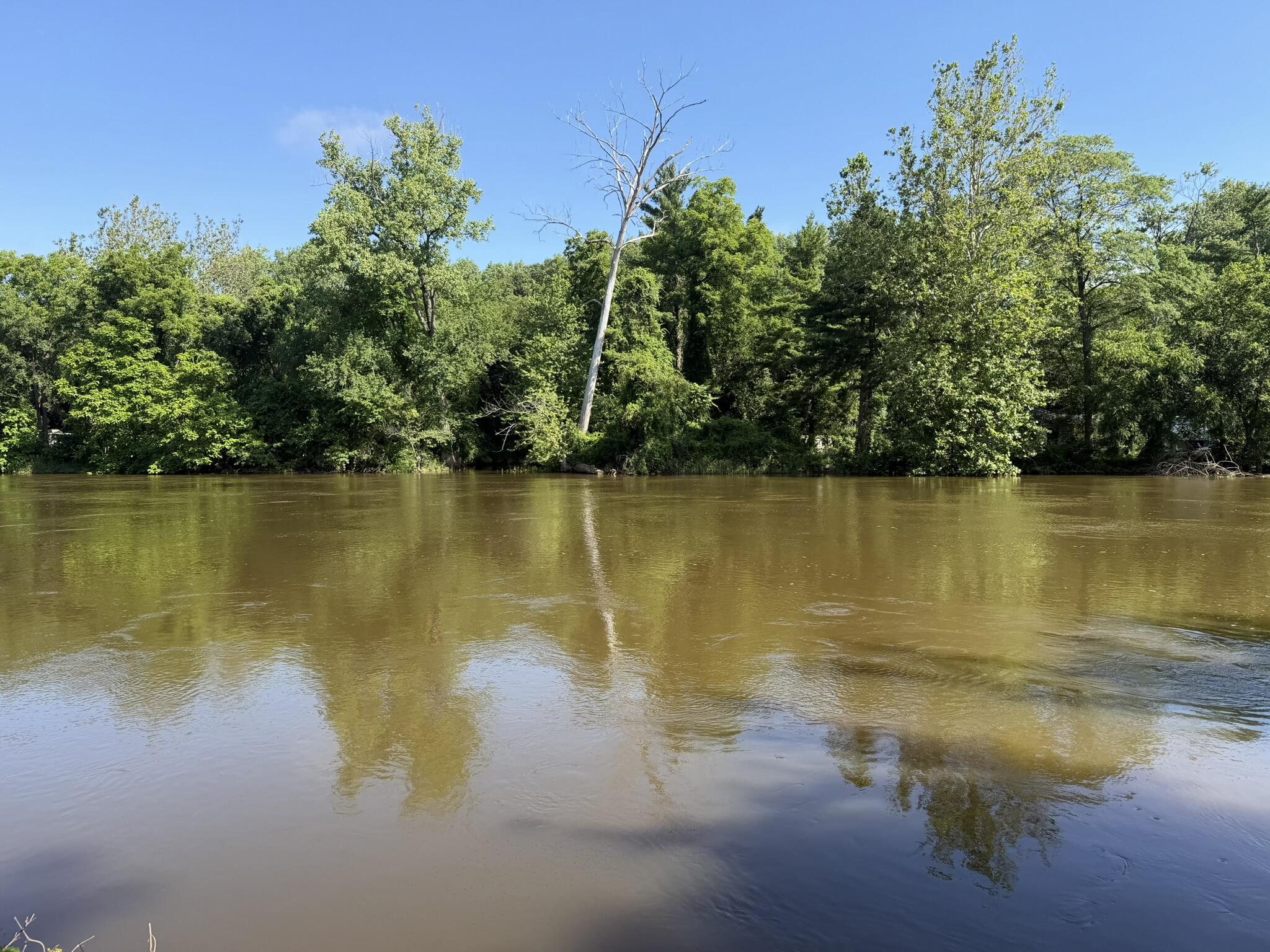 1020 W Bluegrass Road, Sumava Resorts, IN 46379; Image #5