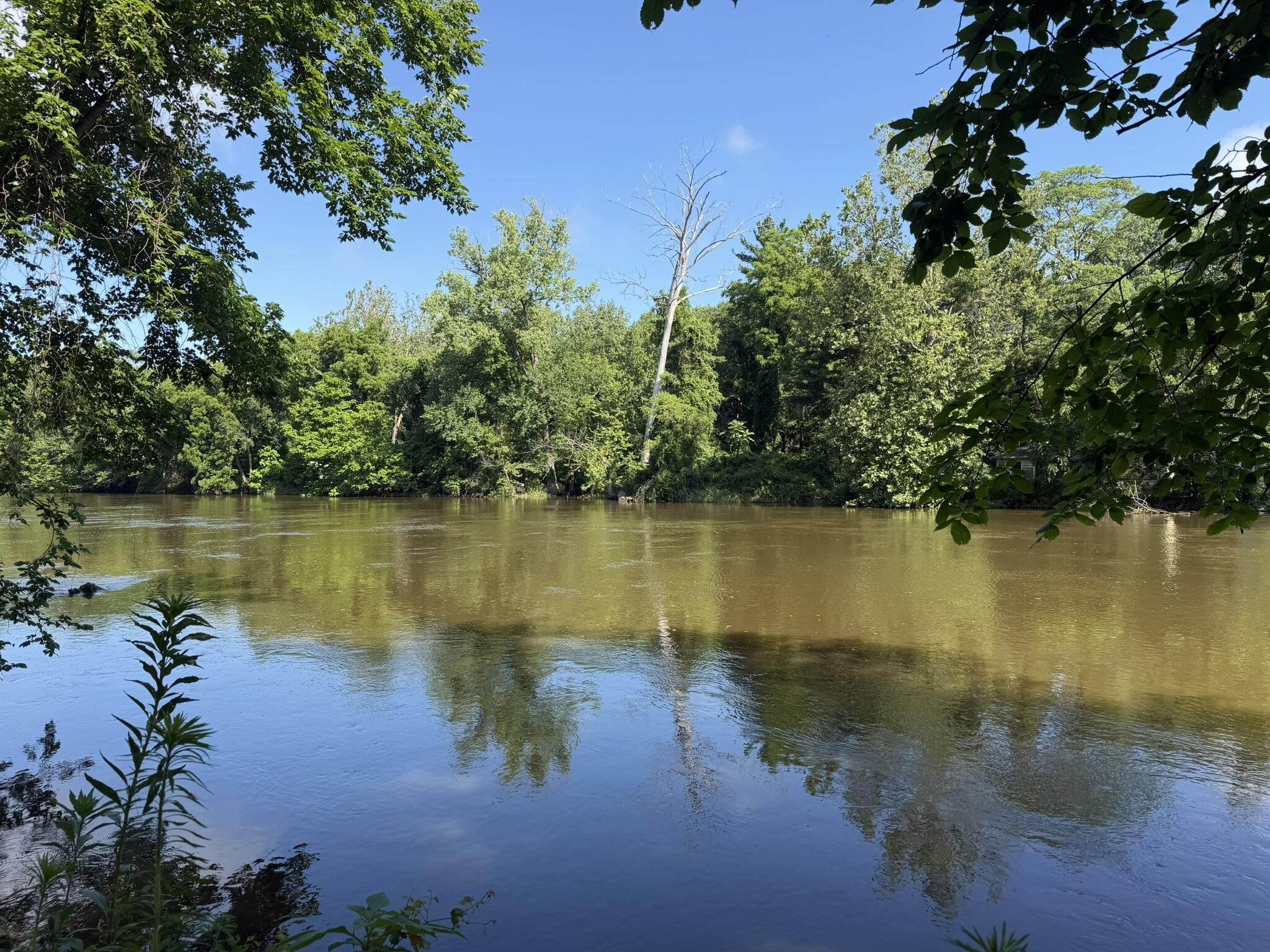 1020 W Bluegrass Road, Sumava Resorts, IN 46379; Image #6