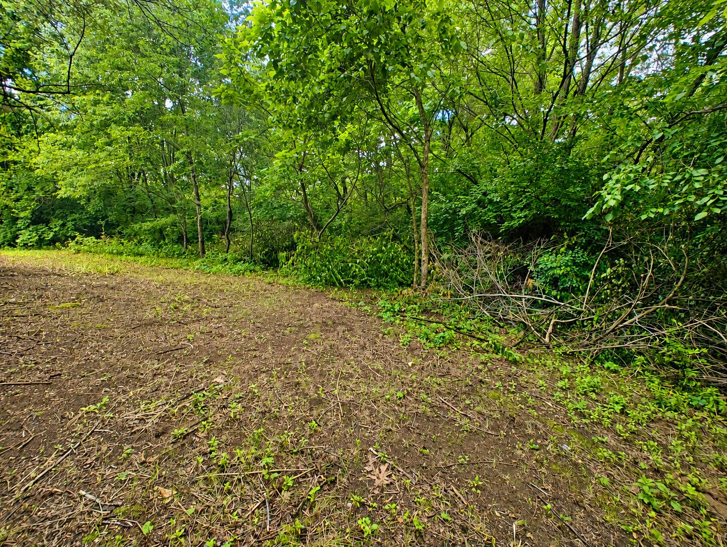 2020 E State Road 10, Knox, IN 46534; Image #24