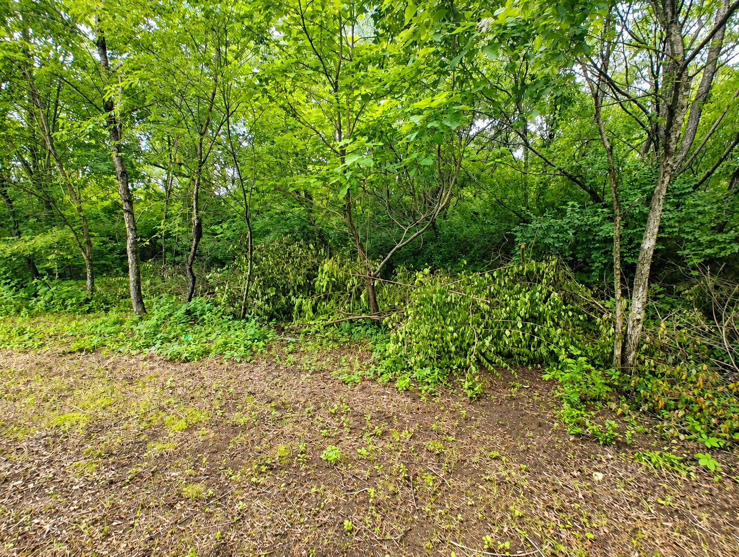 2020 E State Road 10, Knox, IN 46534; Image #25